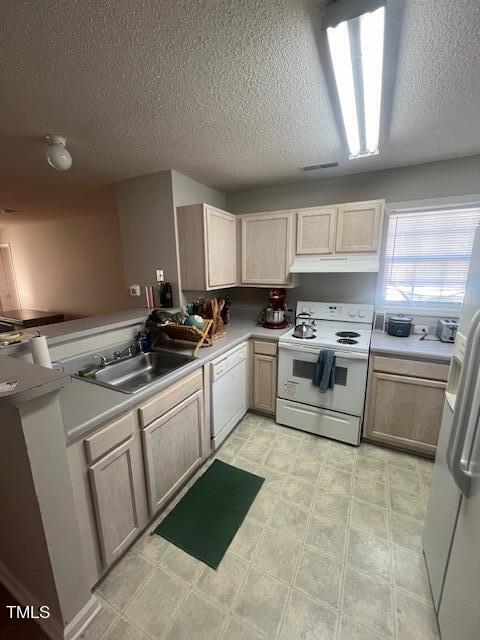 1921 Wolftech Lane Unit: 302