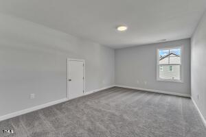 245 Barhams Mill Pond Way