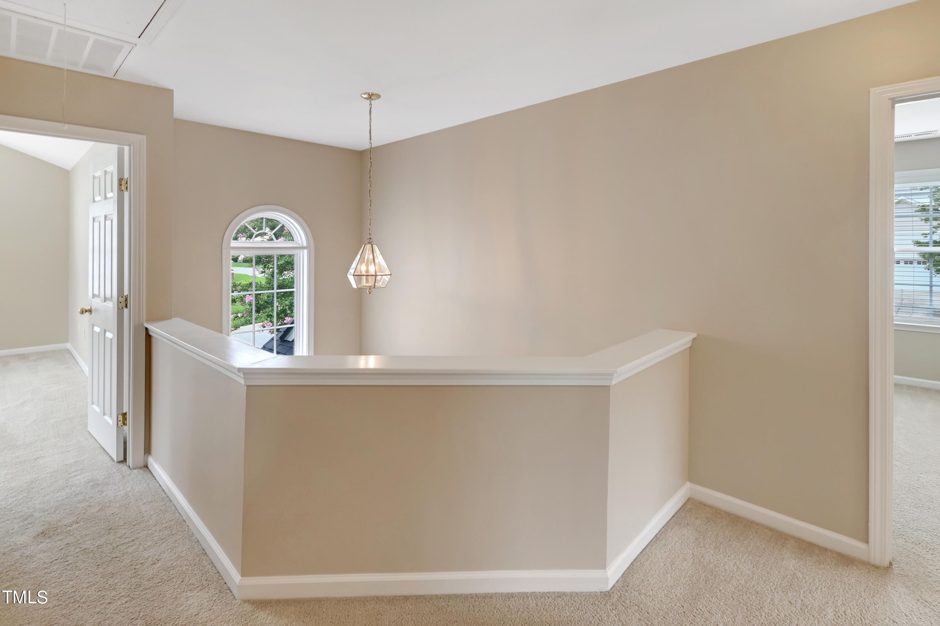 117 Carolina Town Lane