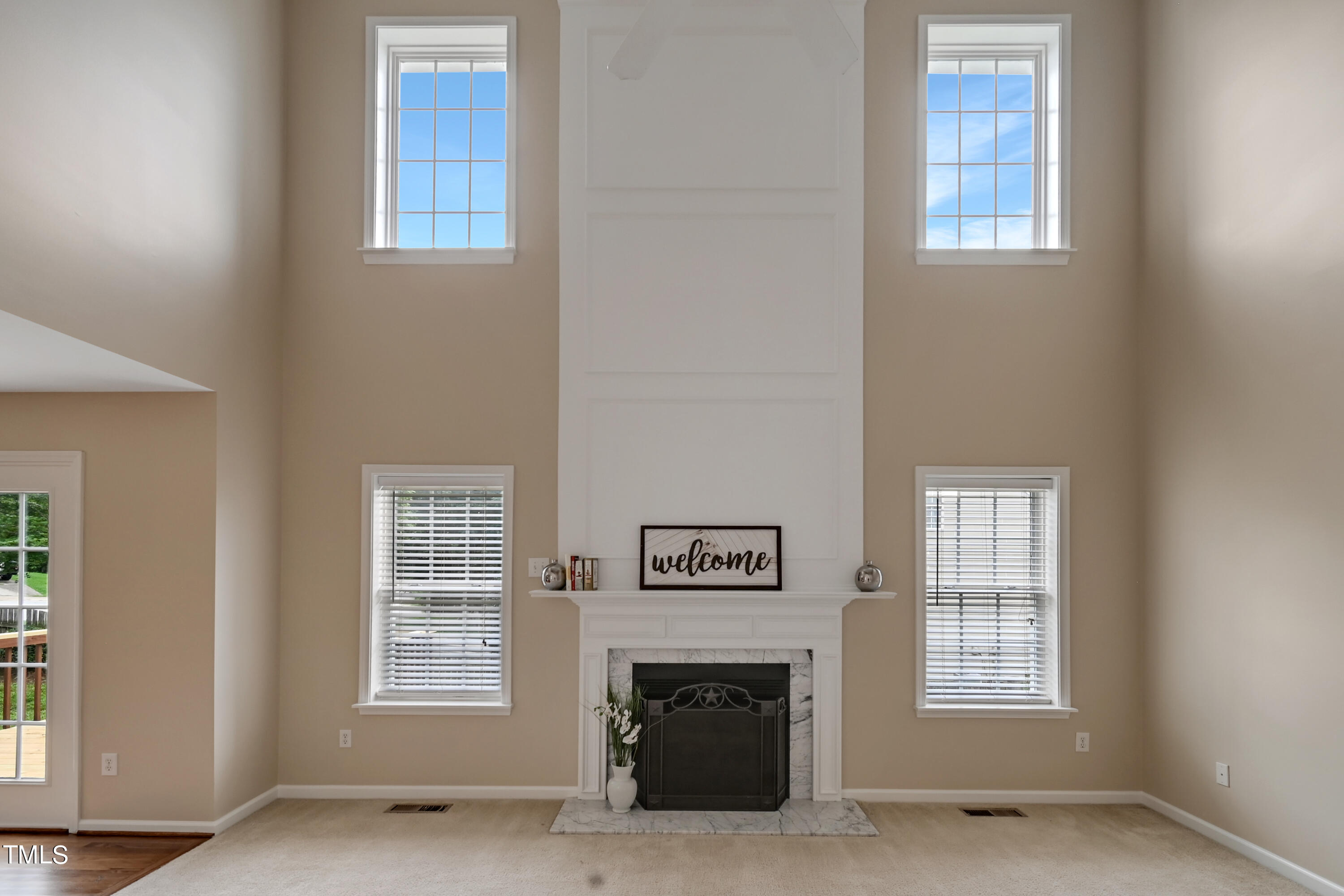 117 Carolina Town Lane