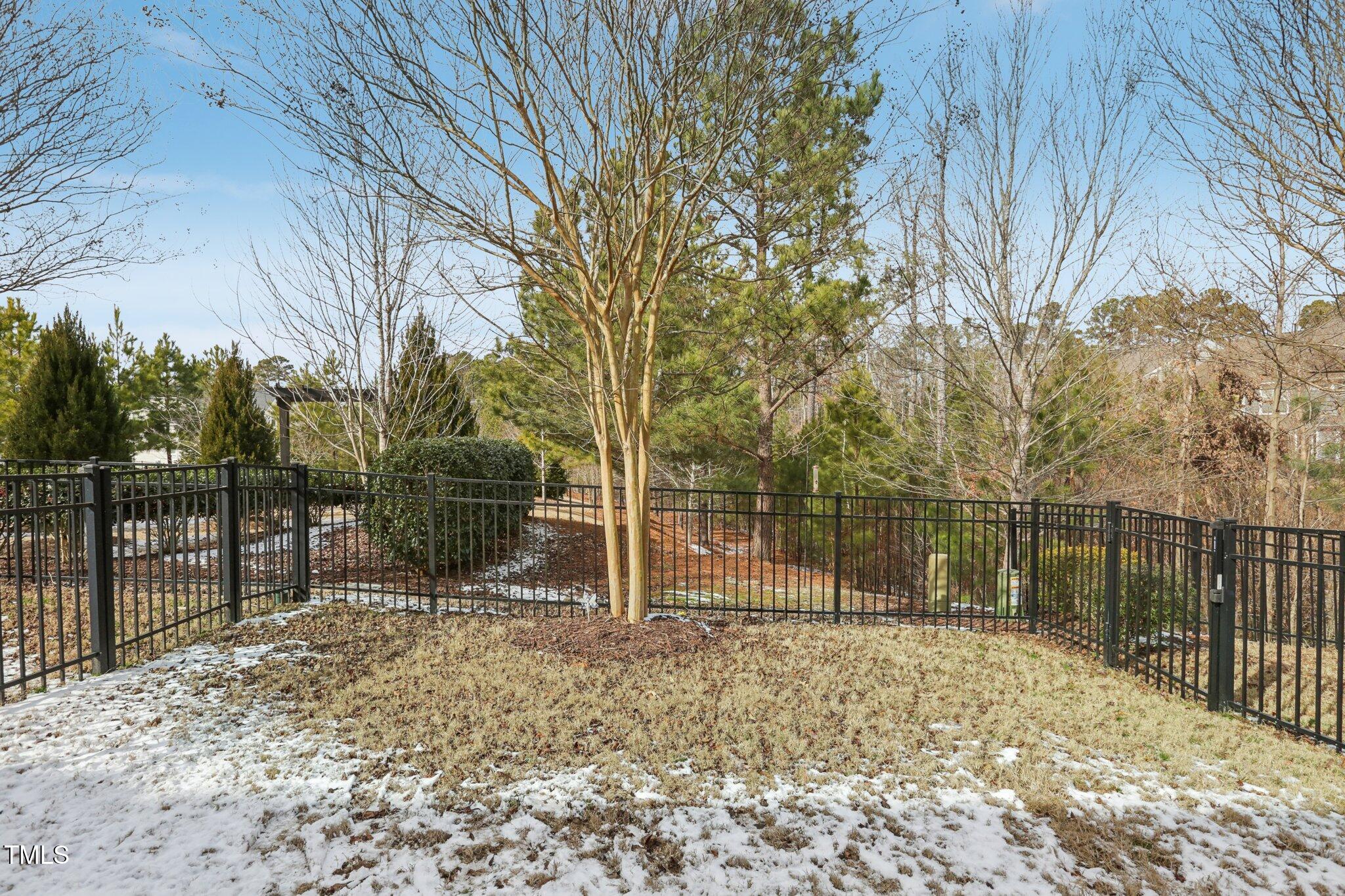 204 Ribbon Walk Lane
