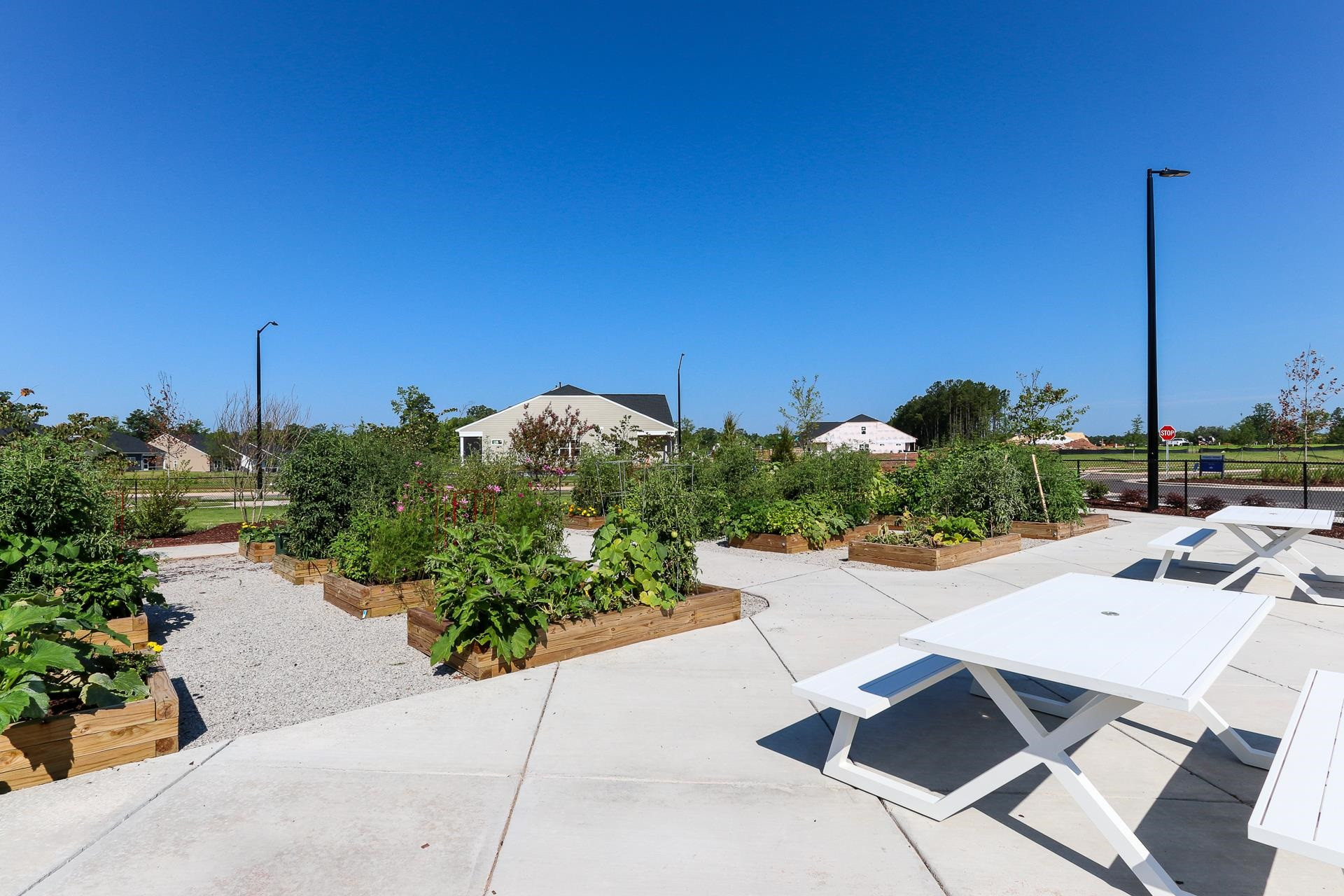 1109 White Flint Circle