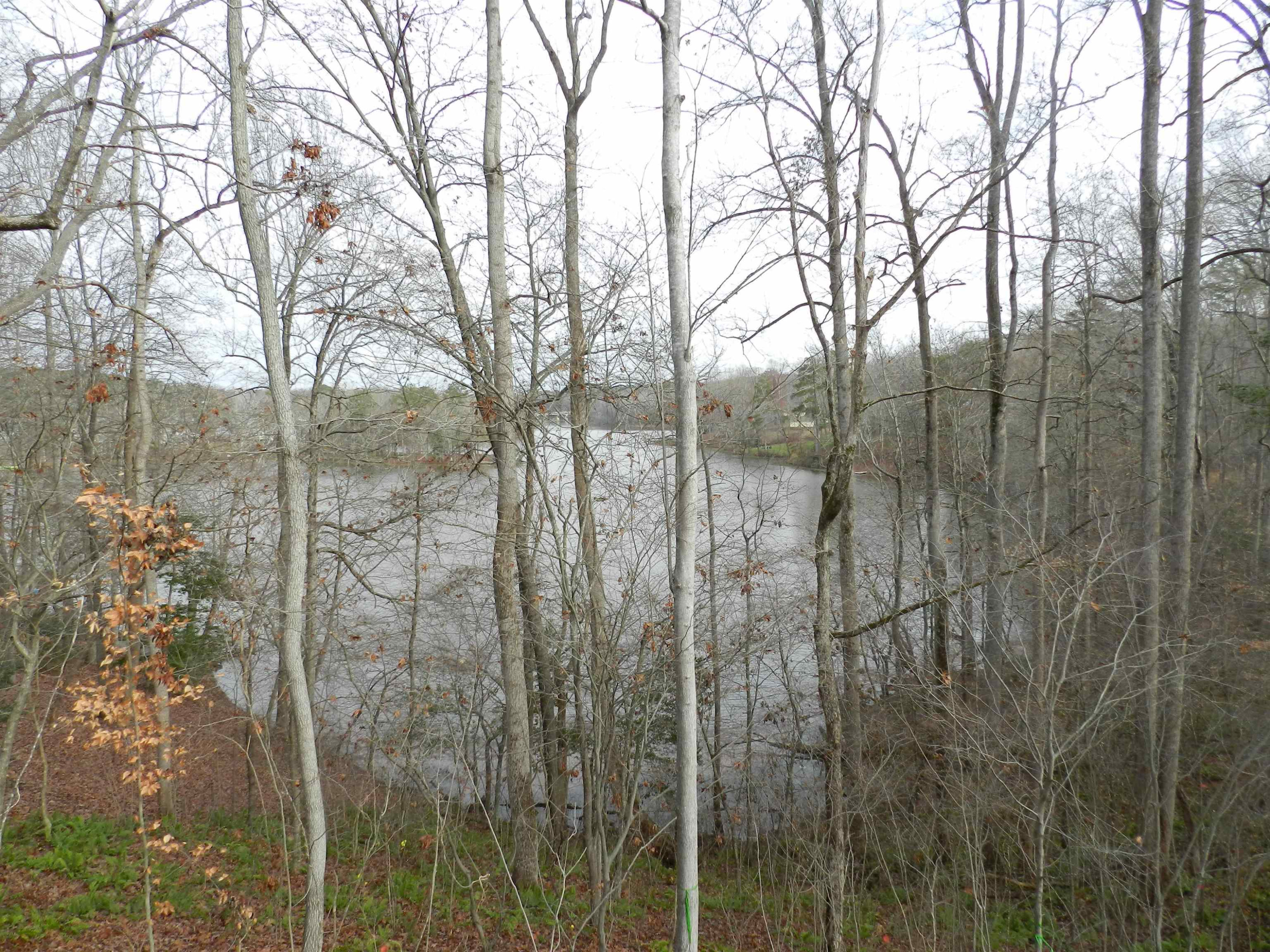 54 W Alex Drive
