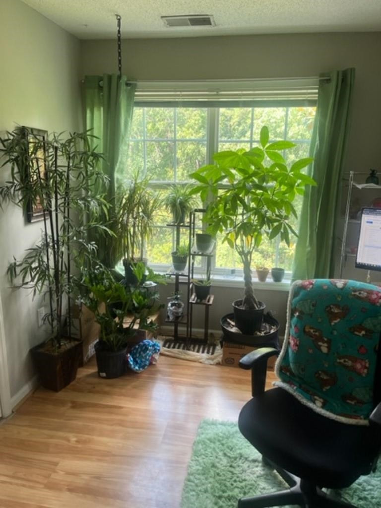 2011 Wolfmill Drive Unit: 301
