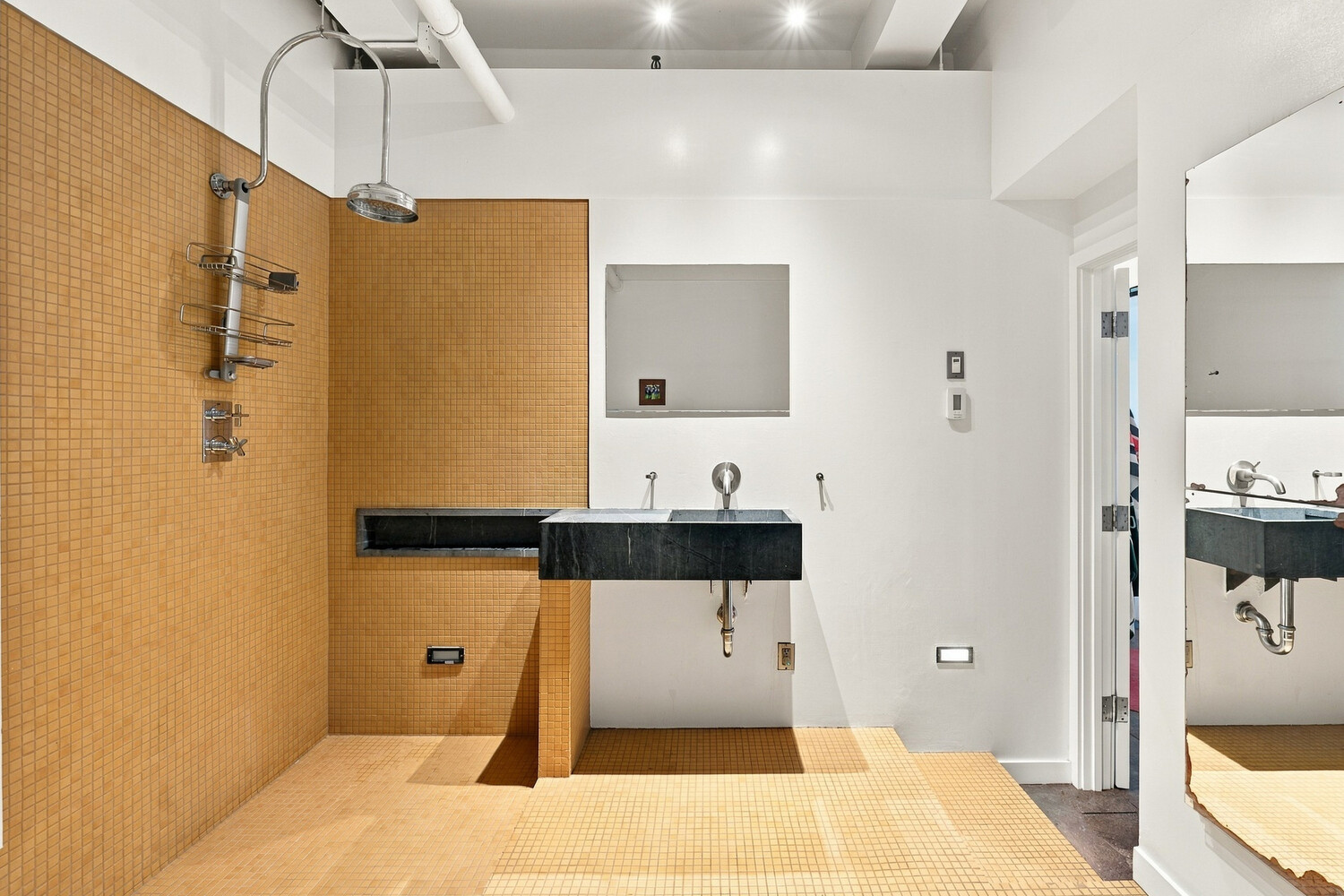 249 W 29TH Street 7N