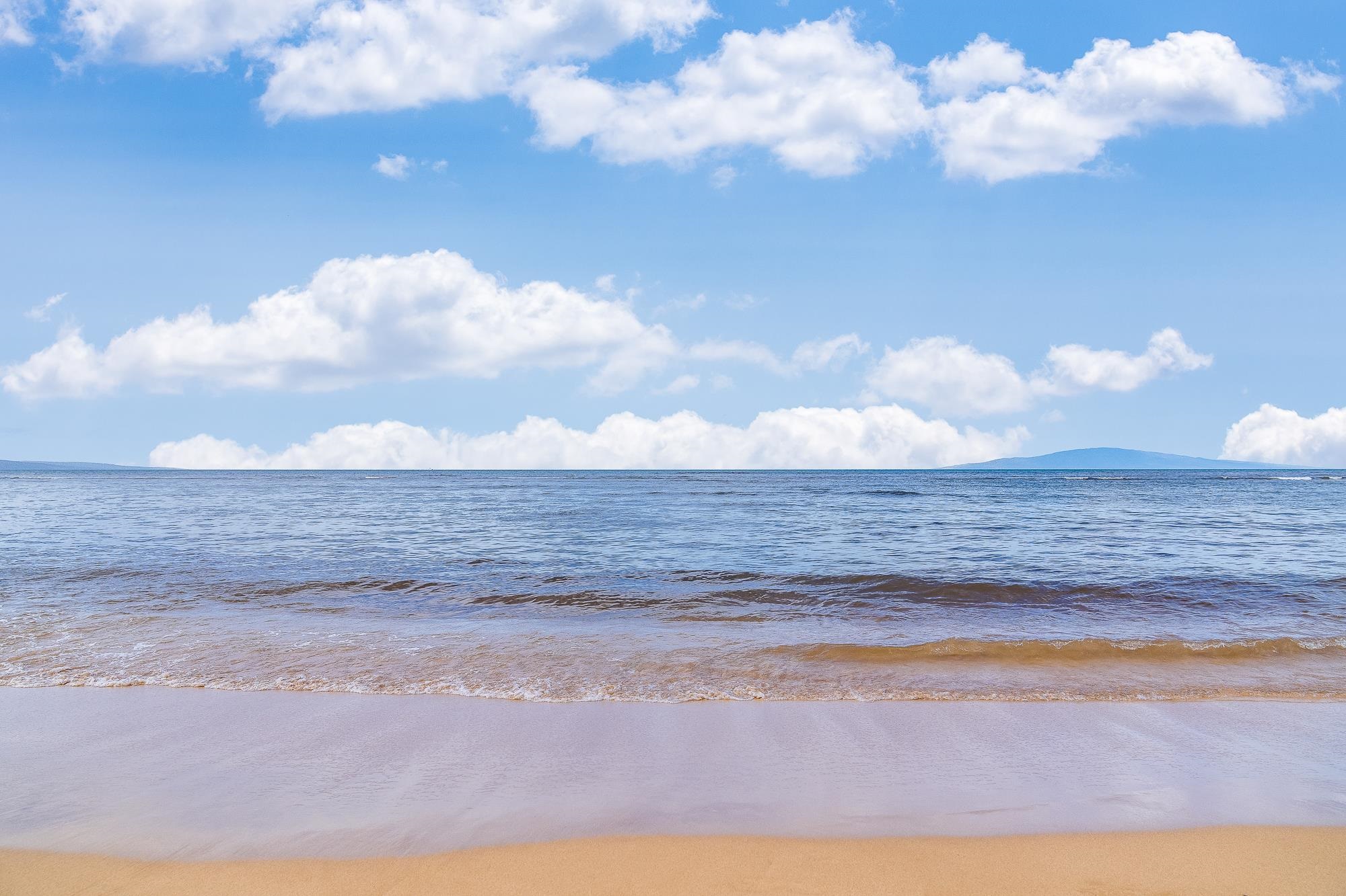 49 W LIPOA St Unit: 103