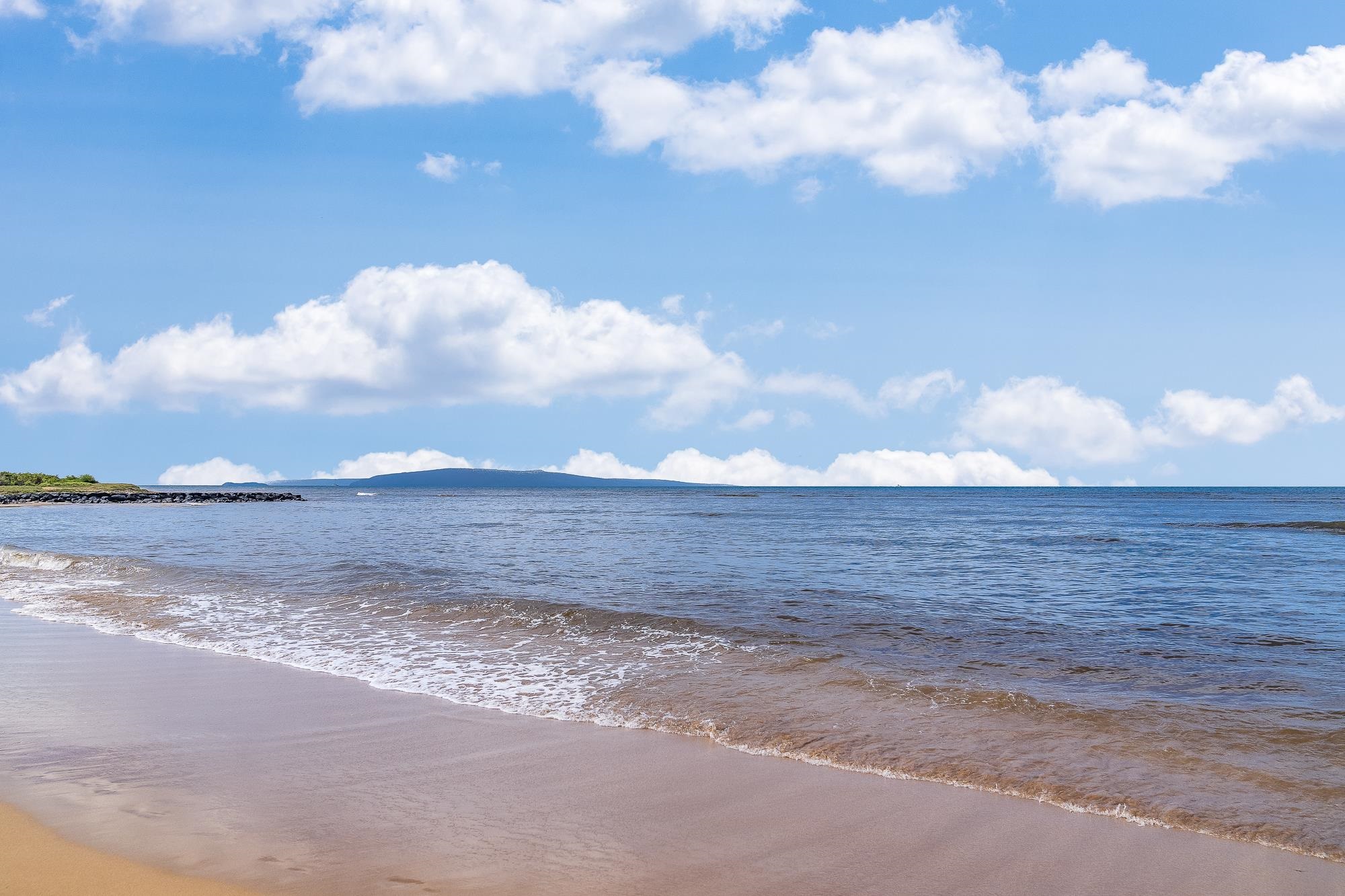 49 W LIPOA St Unit: 103