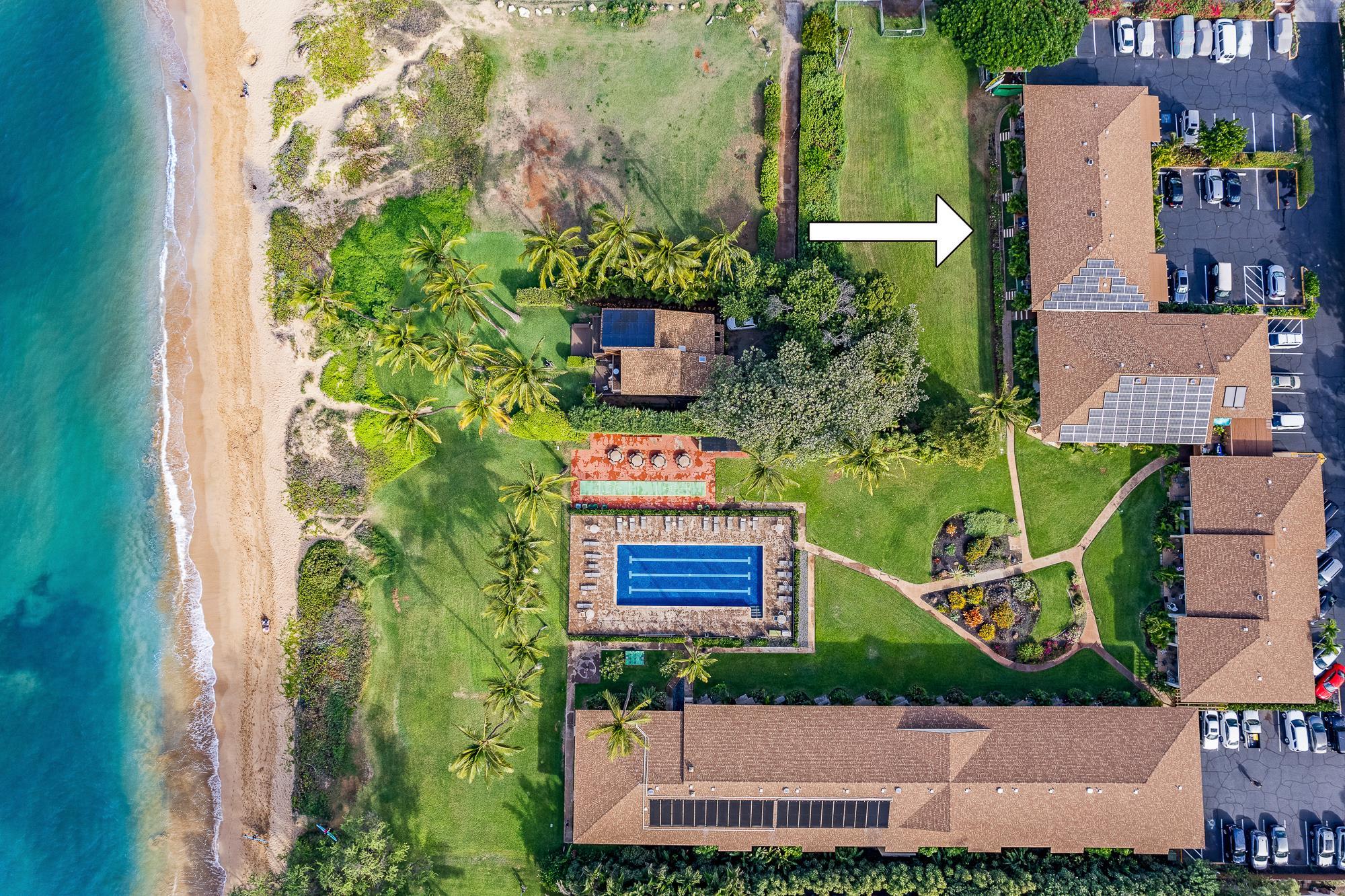 49 W LIPOA St Unit: 103