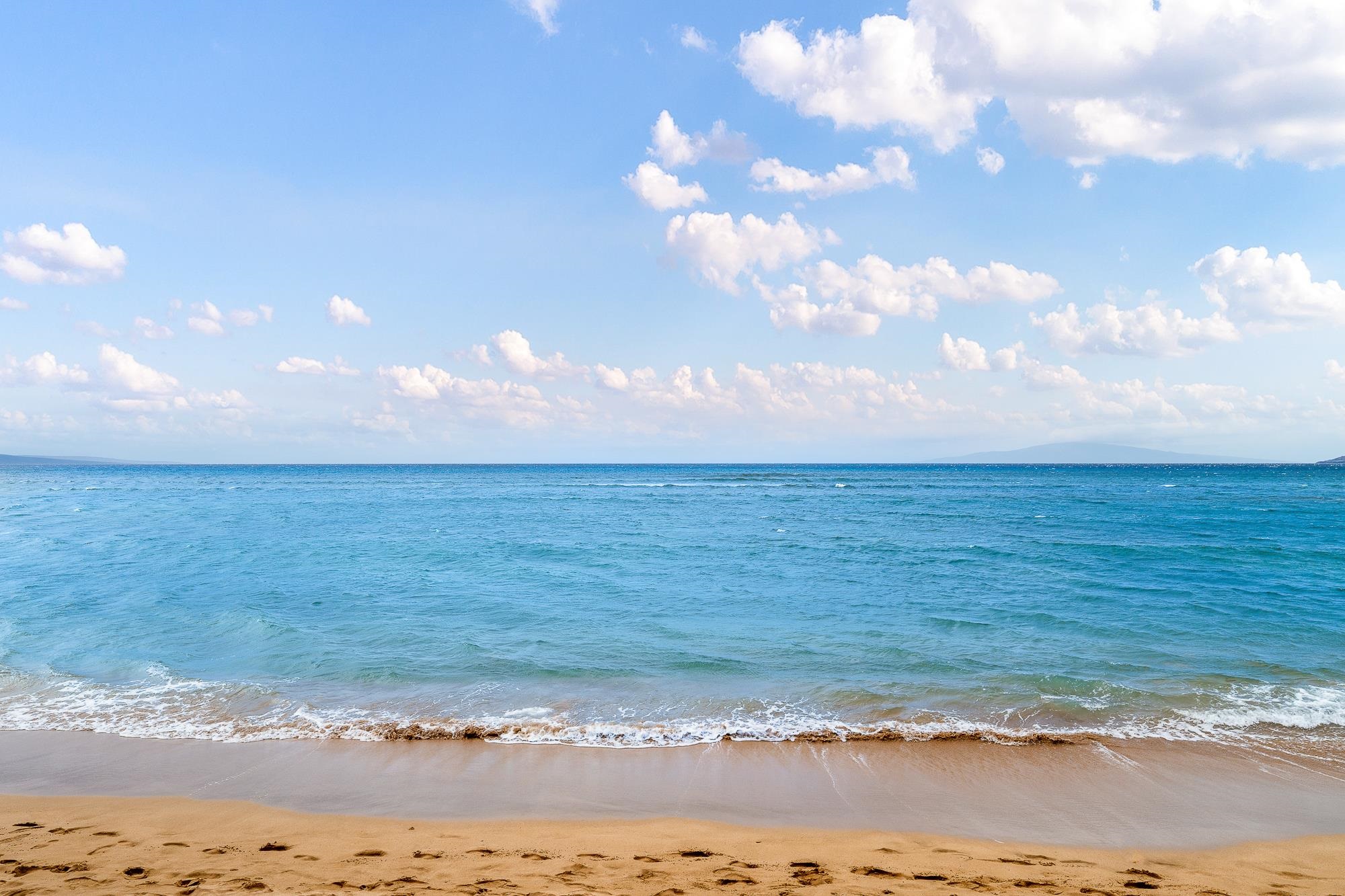 49 W LIPOA St Unit: 103