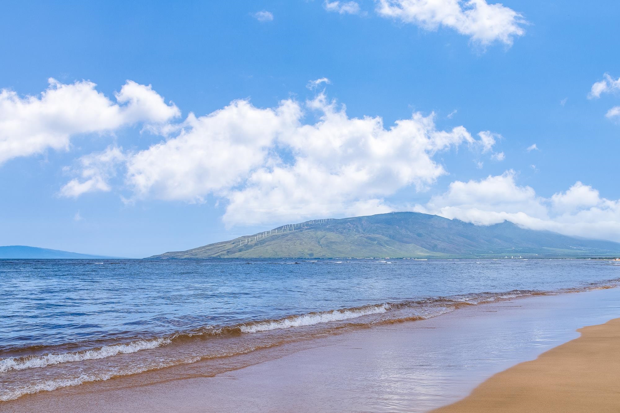 49 W LIPOA St Unit: 103