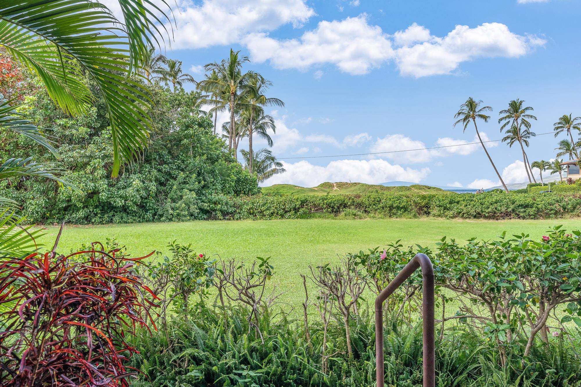 49 W LIPOA St Unit: 103