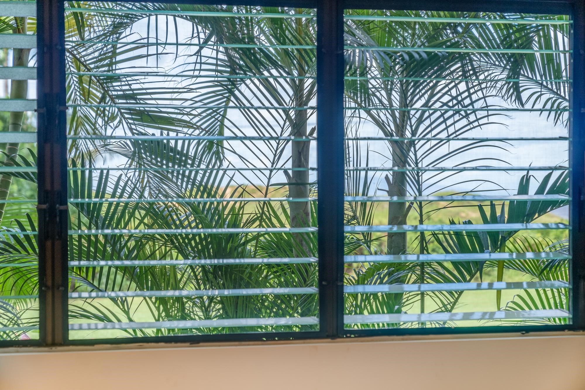 49 W LIPOA St Unit: 103