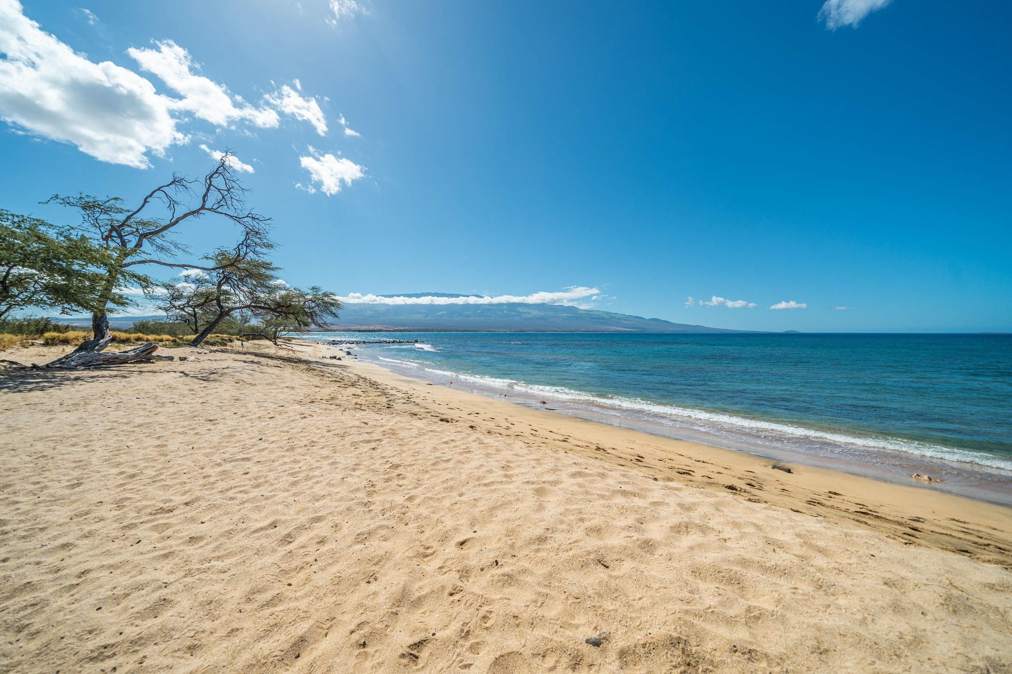 100 HAUOLI St Unit: 303