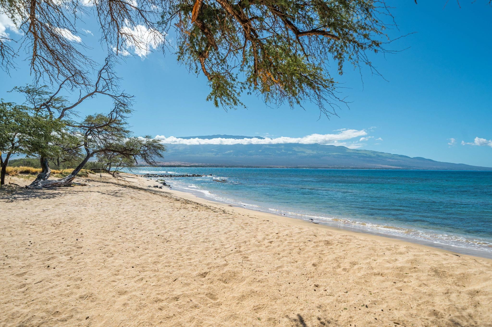 100 HAUOLI St Unit: 303