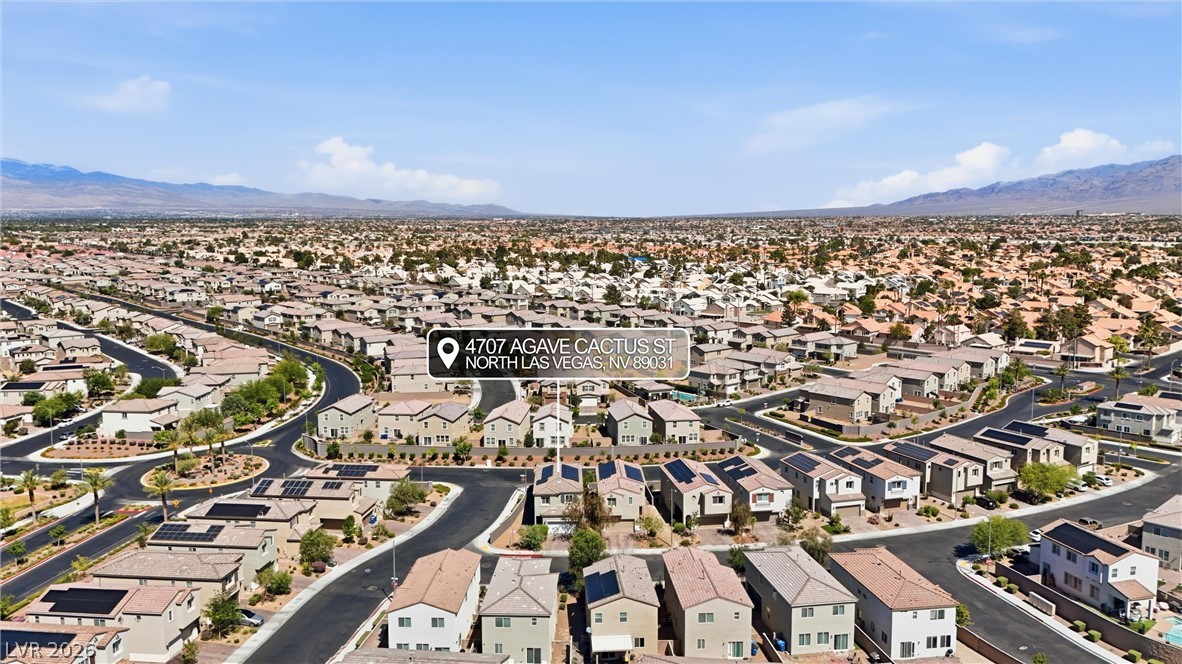 4707 Agave Cactus Street
