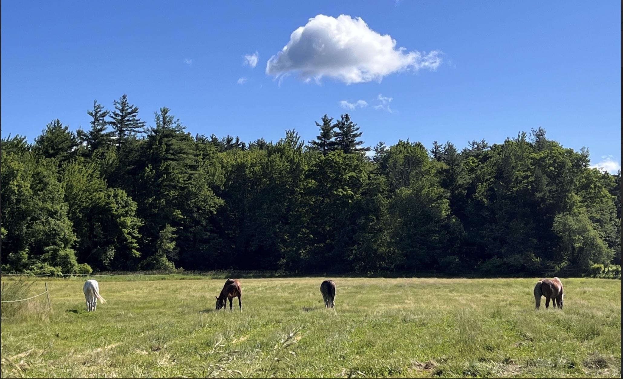 11 Pony Farm Lane