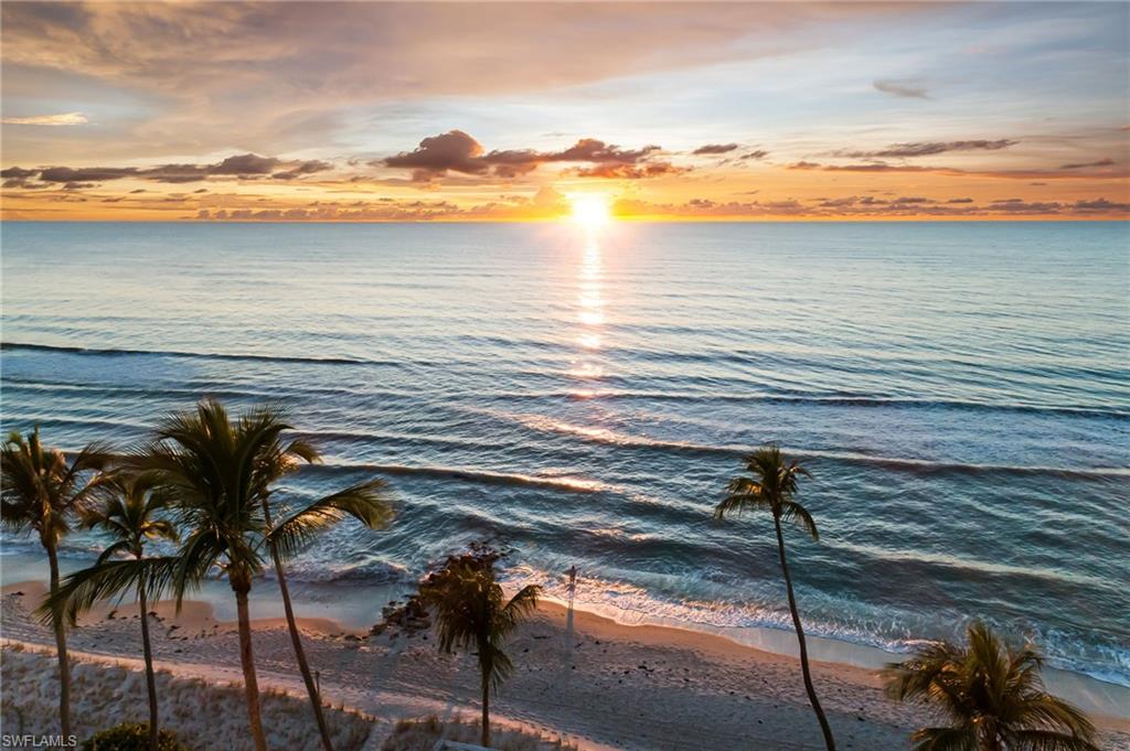 1200 Gulf Shore BLVD N # 503