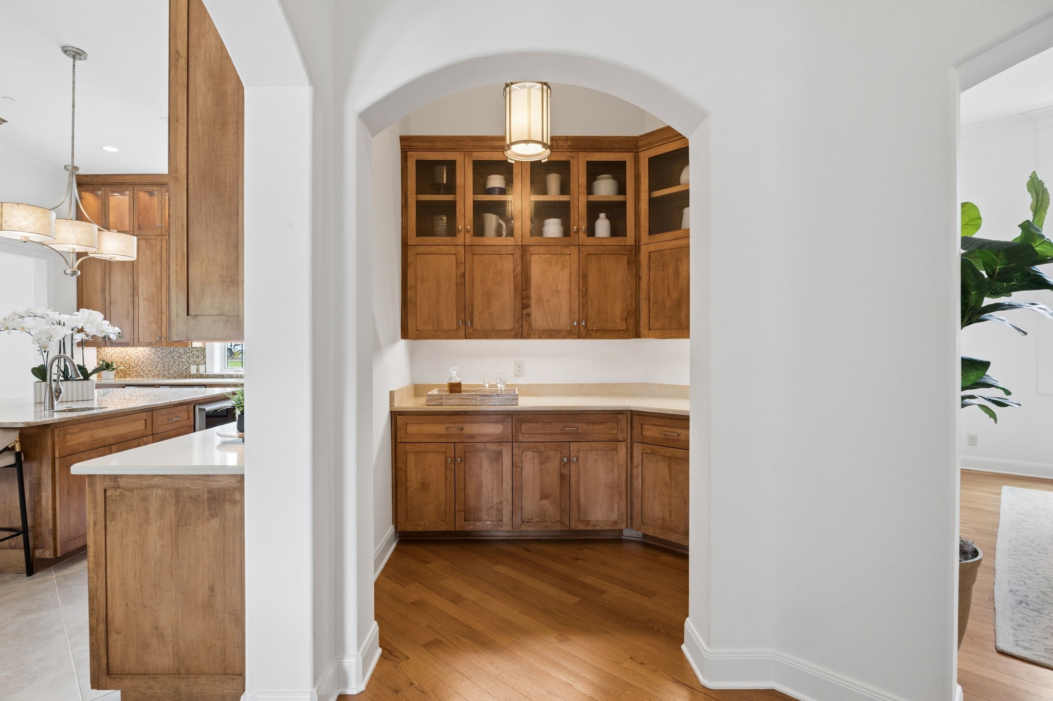 1701 Live Oak Lane