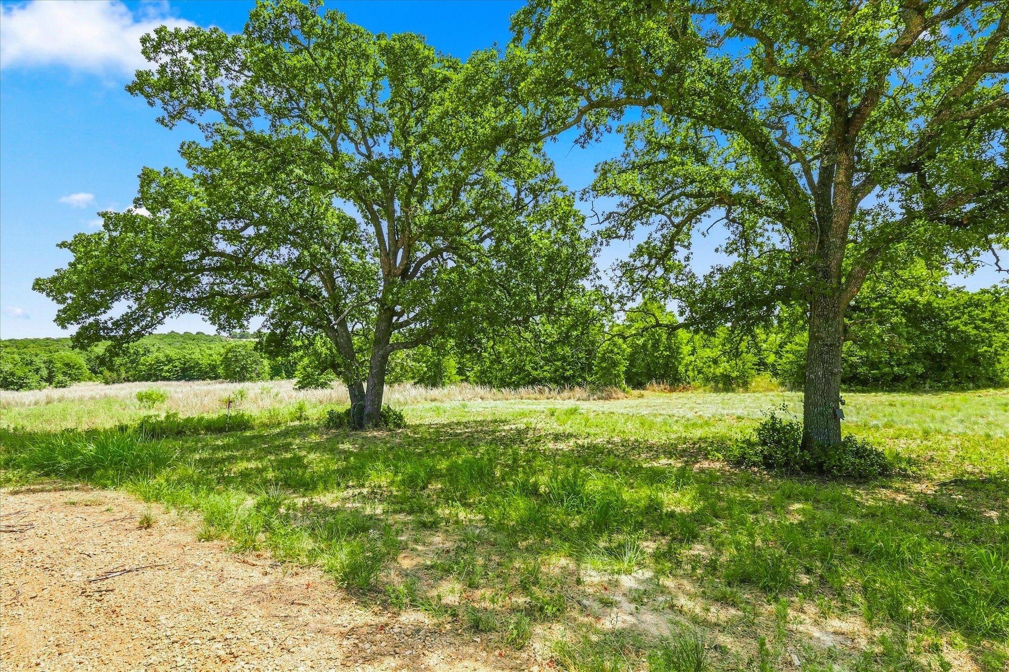 1150 DPS Tower Road Lot#50