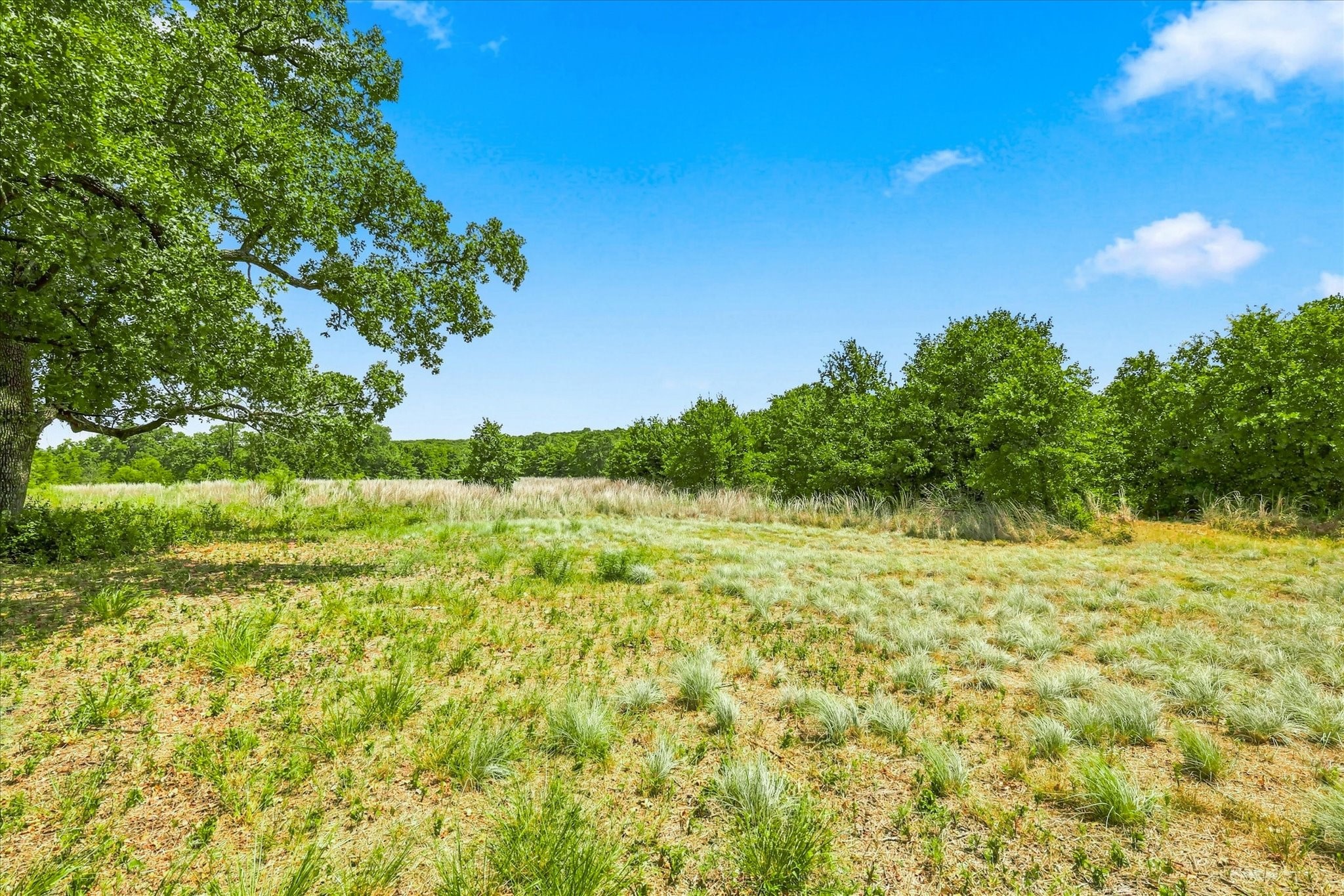 1150 DPS Tower Road Lot#50