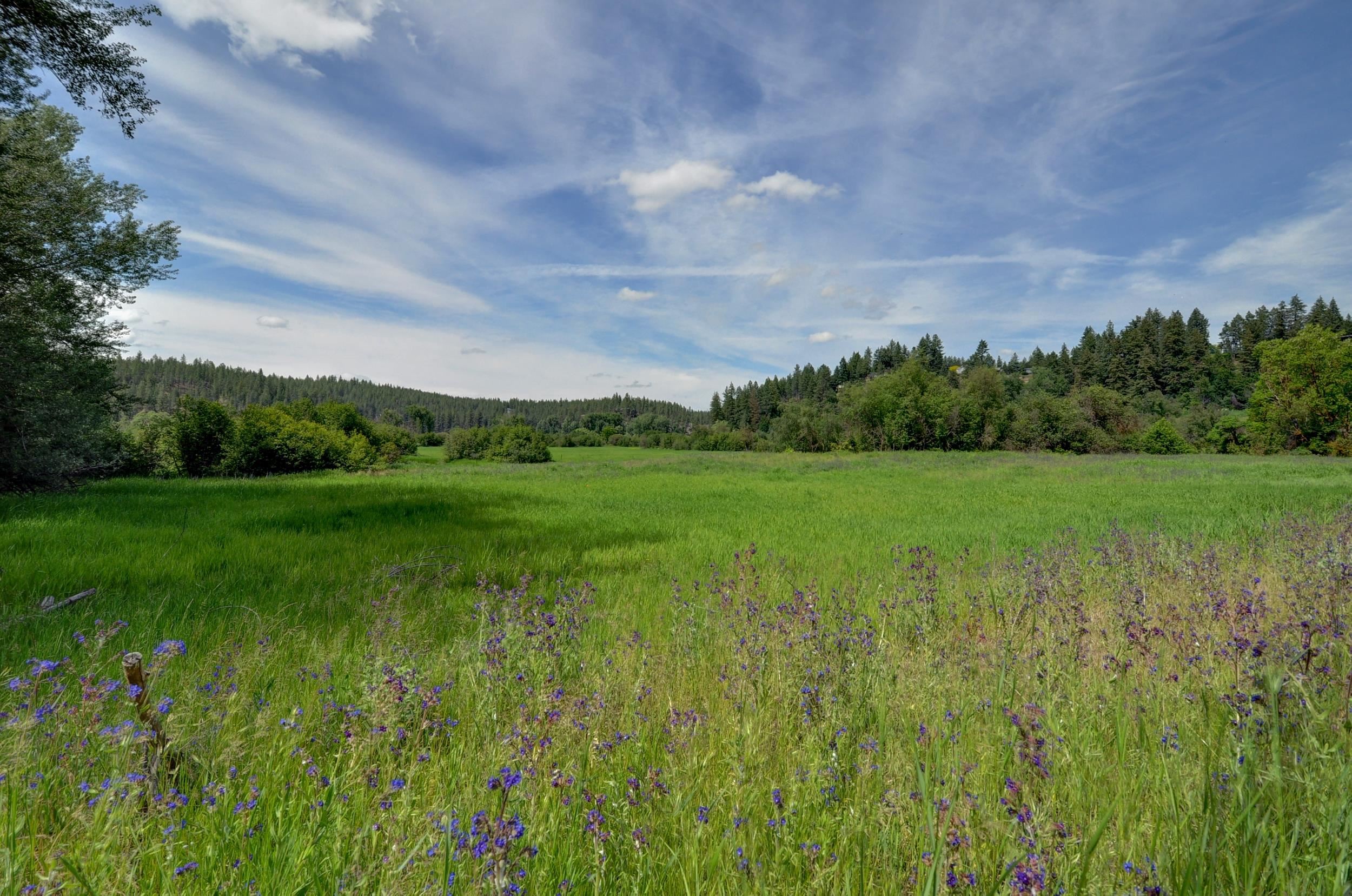 12719 N VISTAWOOD Ct