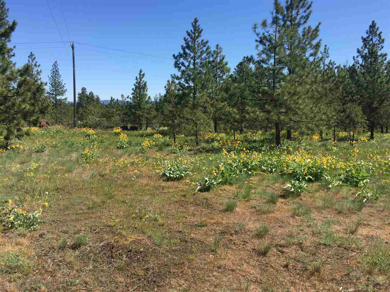 Approx.7220 W 49th Ave