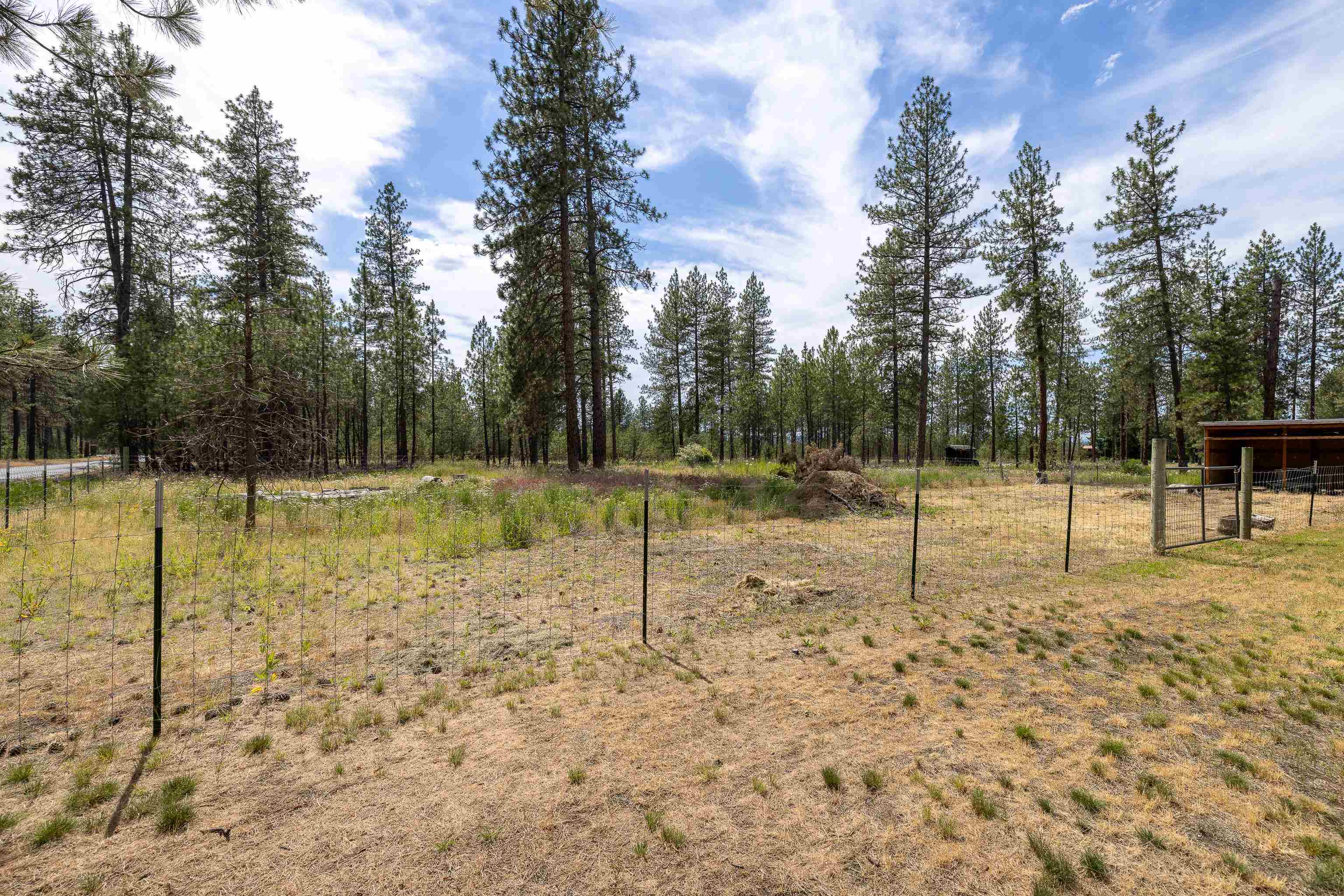 24207 N Elk Chattaroy Rd