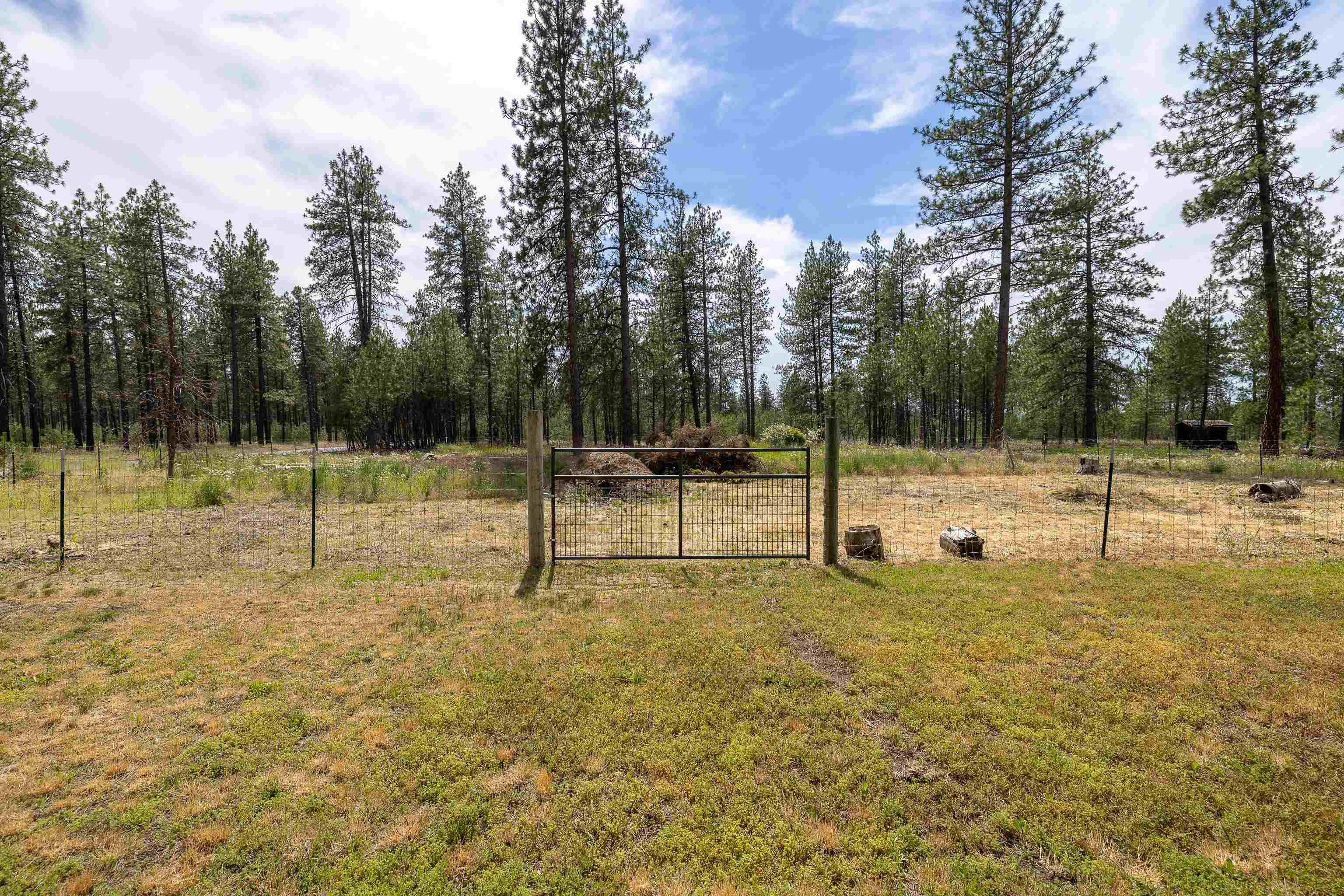 24207 N Elk Chattaroy Rd