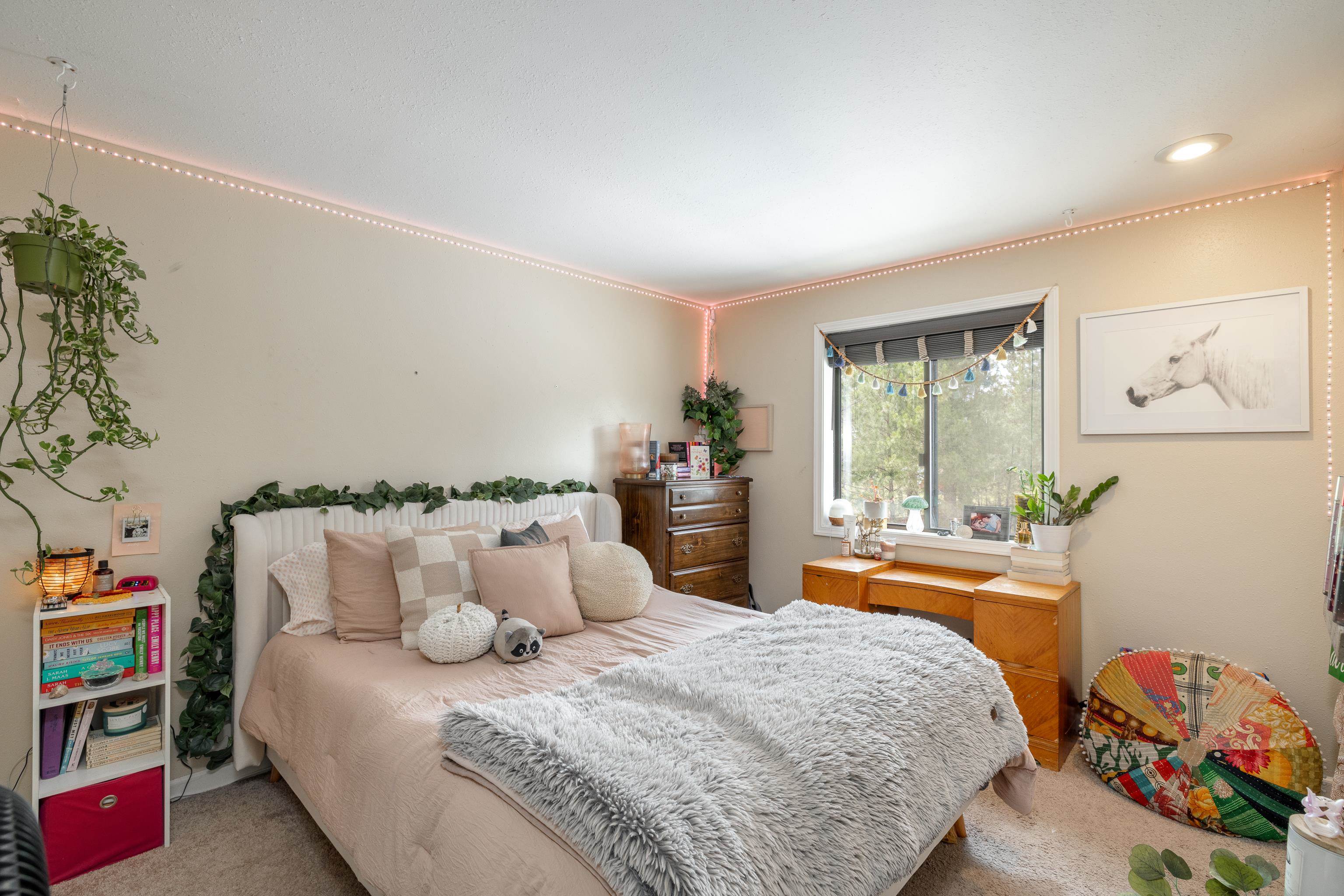 24207 N Elk Chattaroy Rd