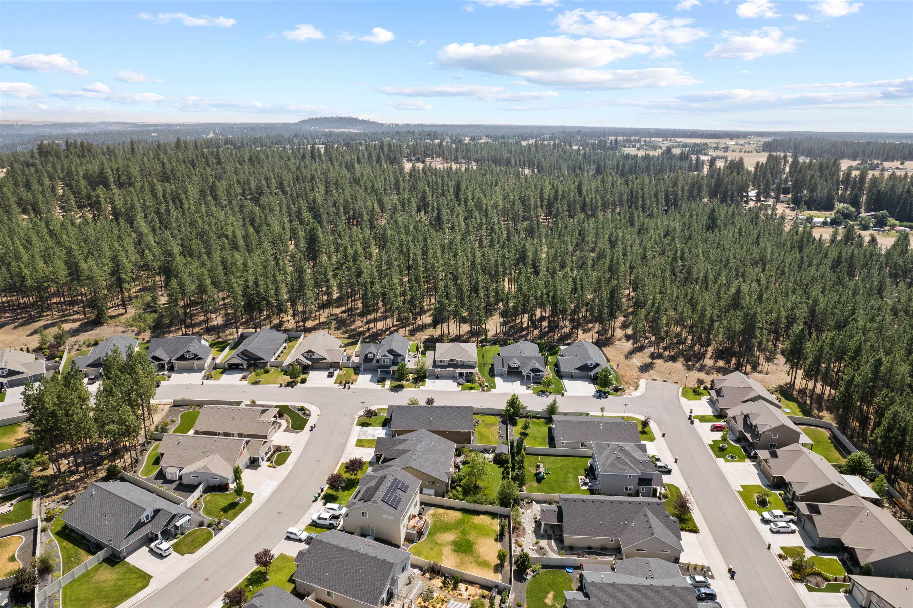 1009 W Siena Peak Dr