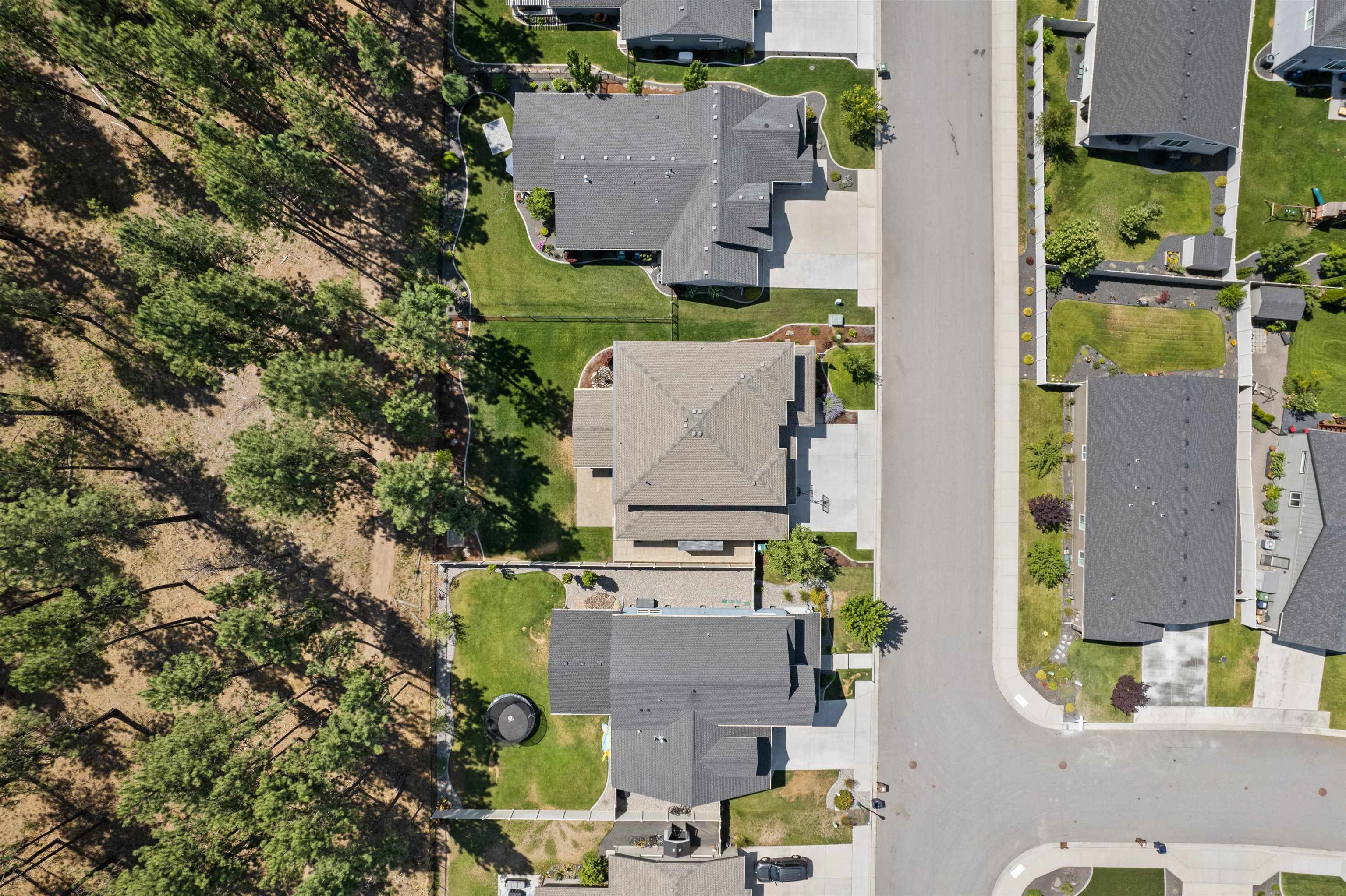 1009 W Siena Peak Dr