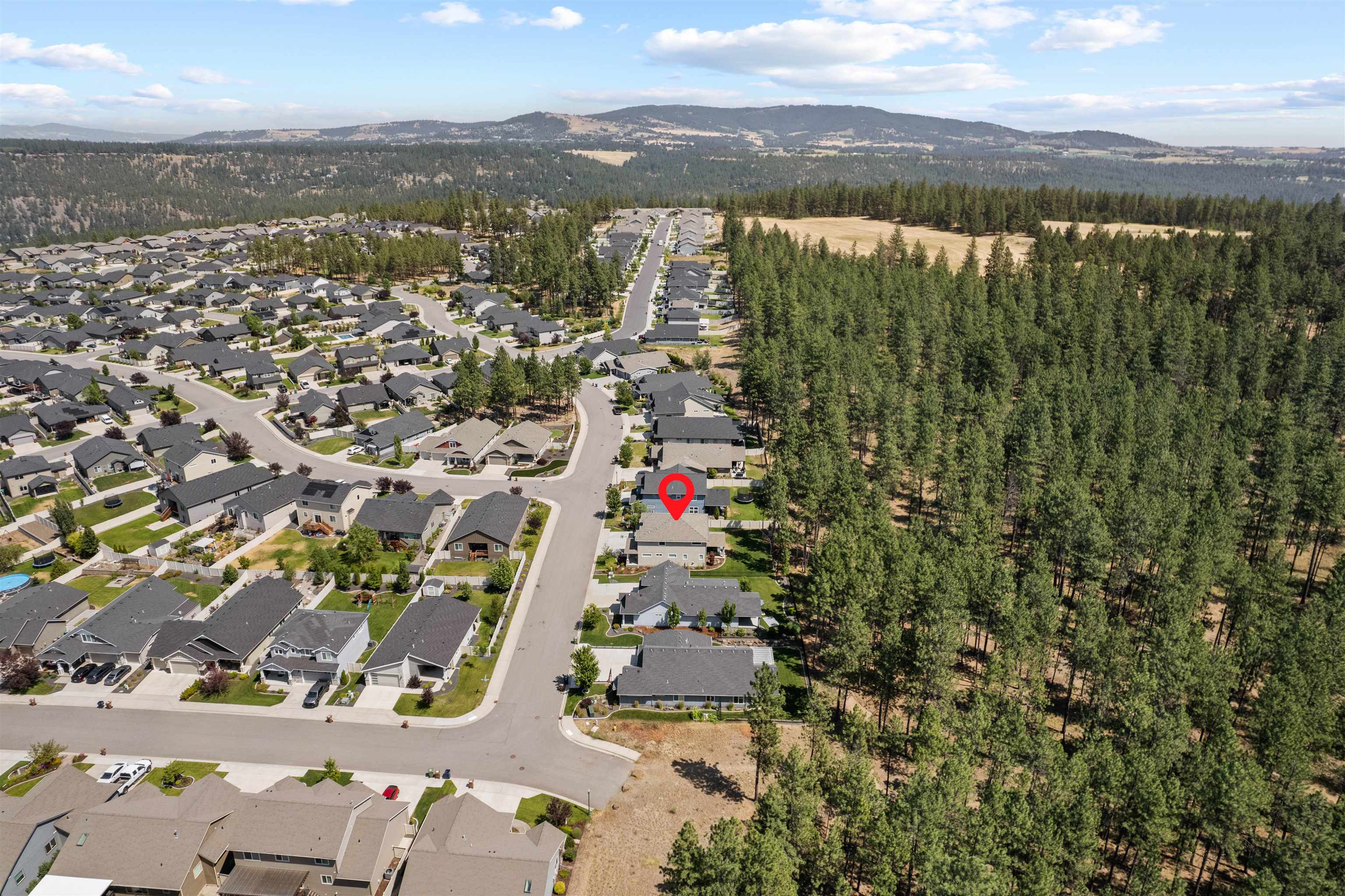 1009 W Siena Peak Dr