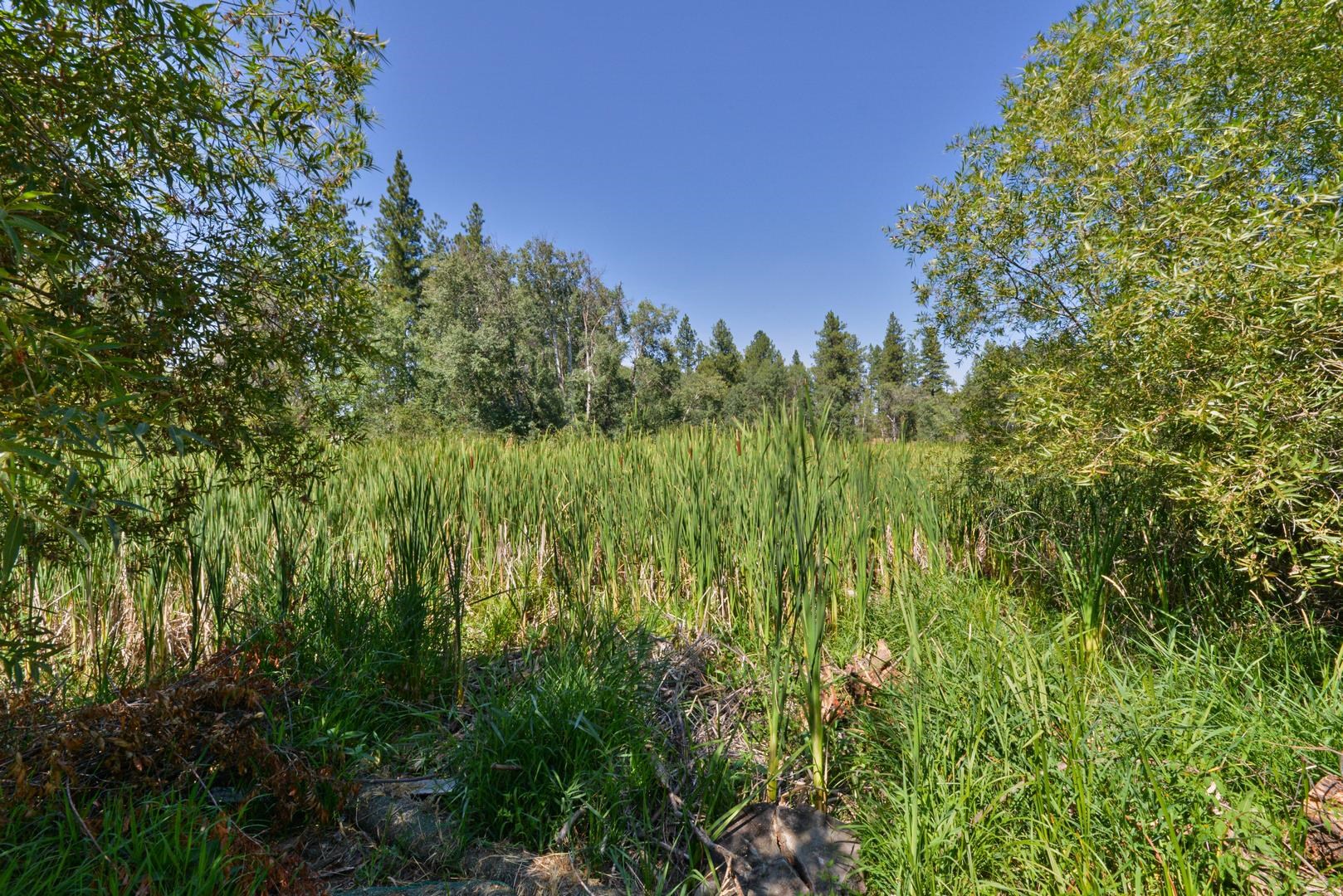 Near 12523 S Clear Lake Rd