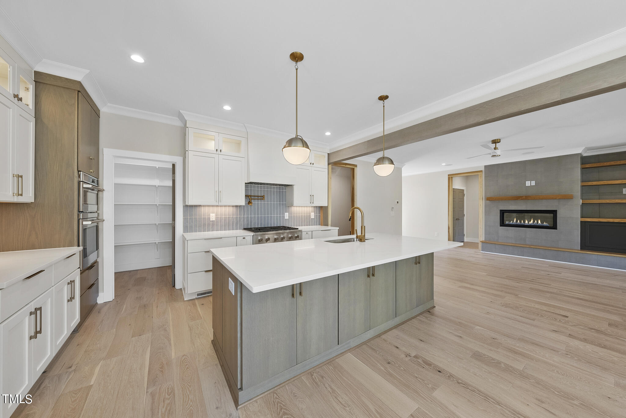 305 Black Swan Drive