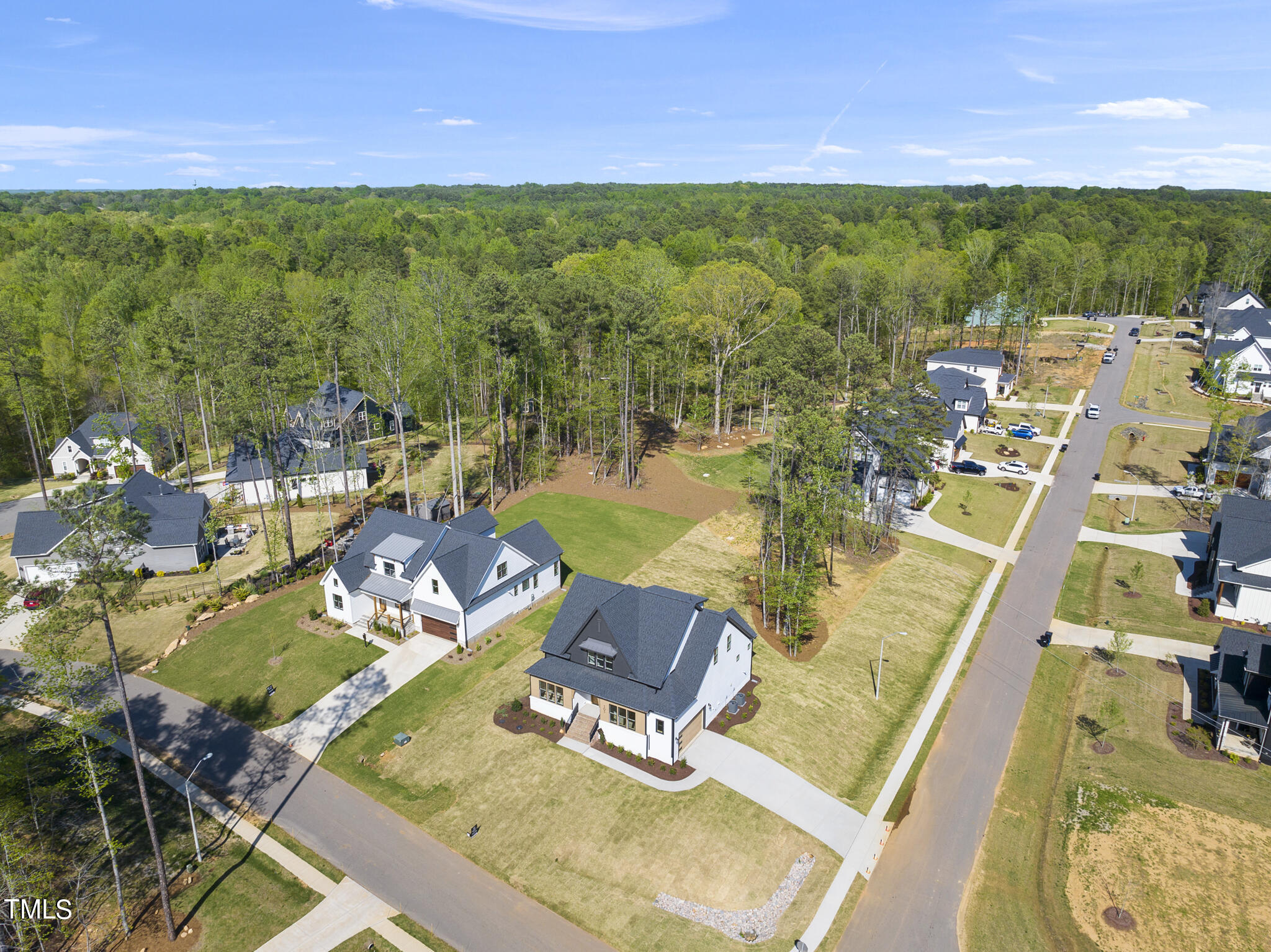 305 Black Swan Drive