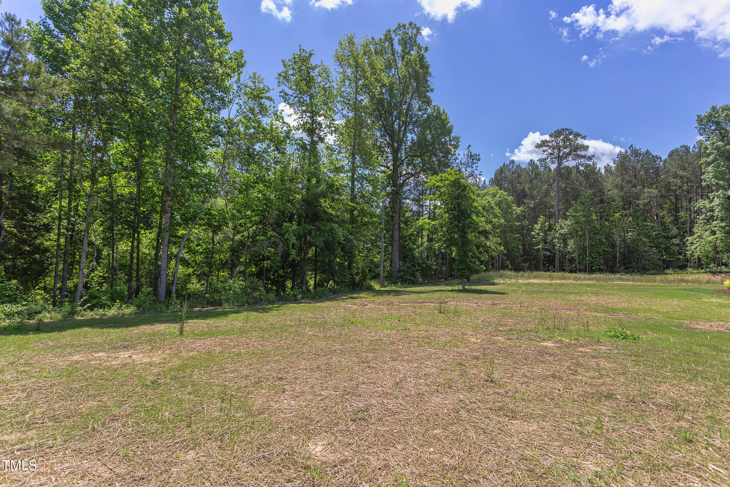 95 Harvest View Way