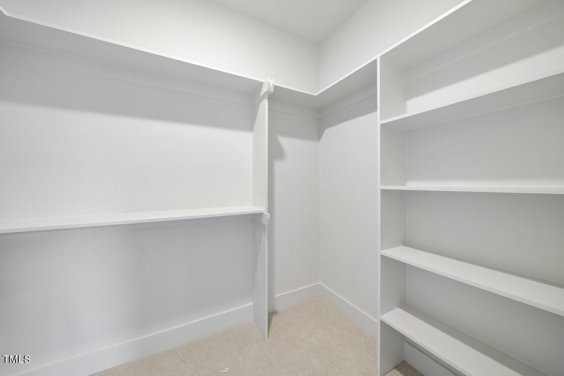 1137 Ivy Lane