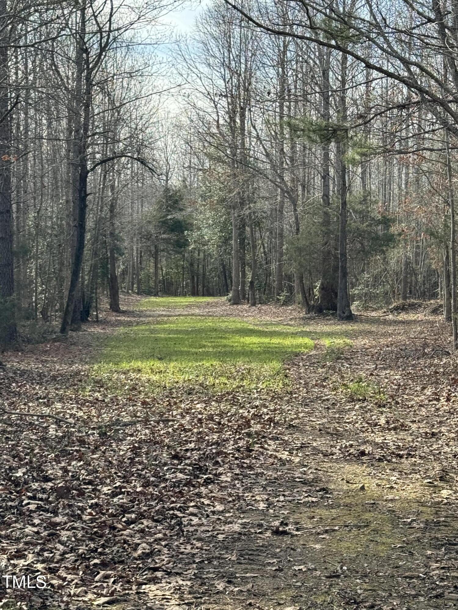 221 Kerr Lake Cole Bridge Road