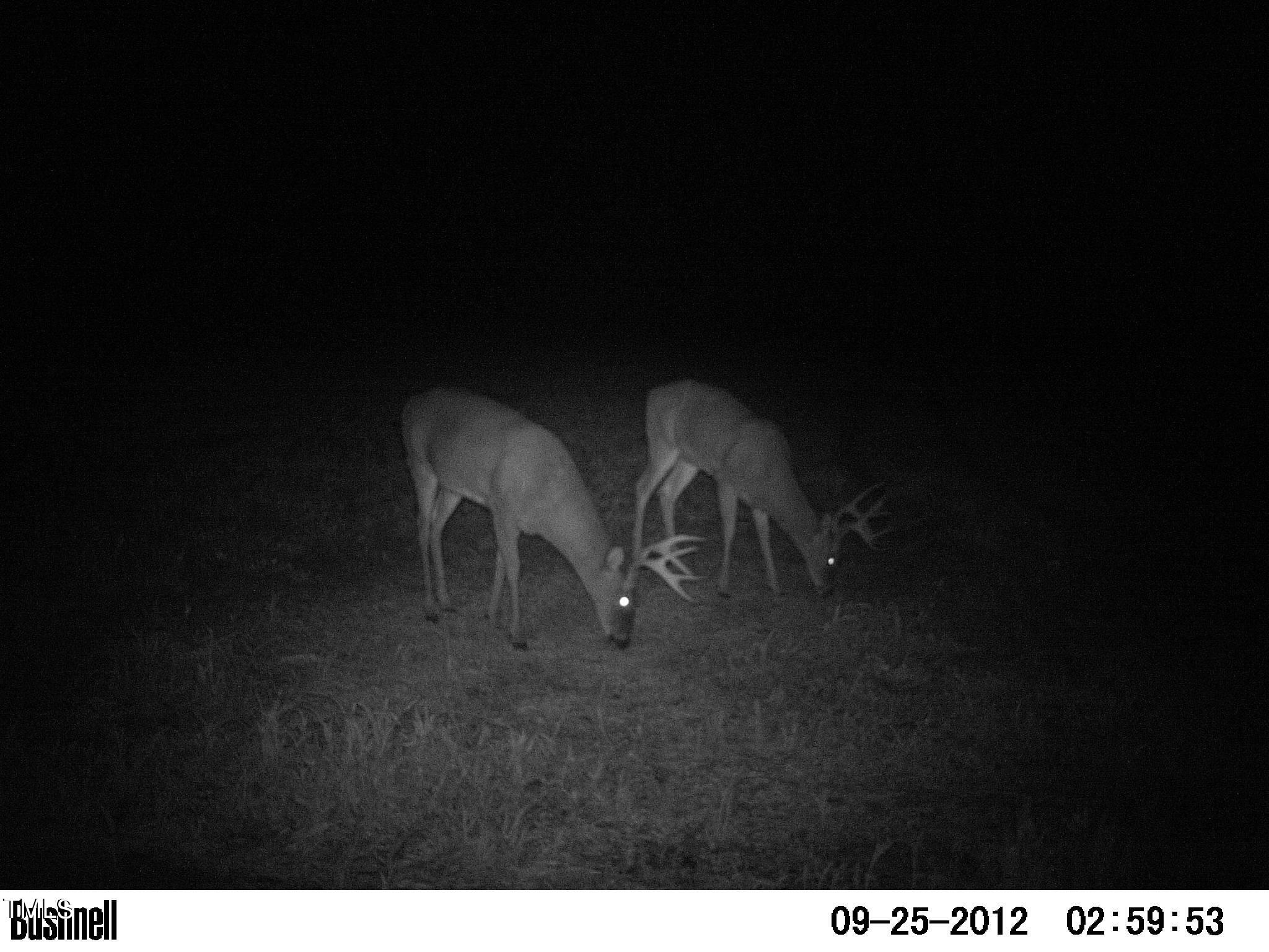 221 Kerr Lake Cole Bridge Road