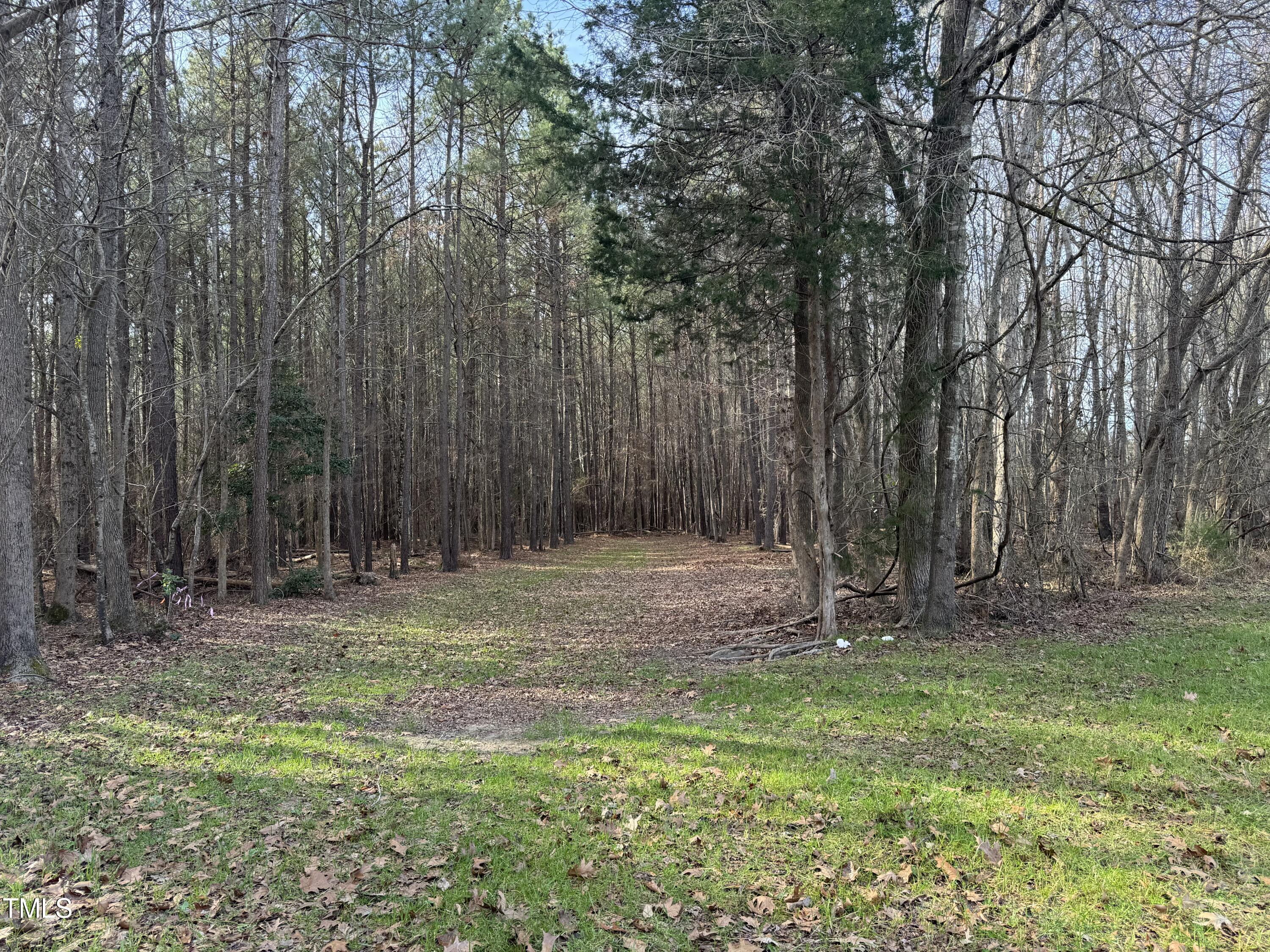 221 Kerr Lake Cole Bridge Road