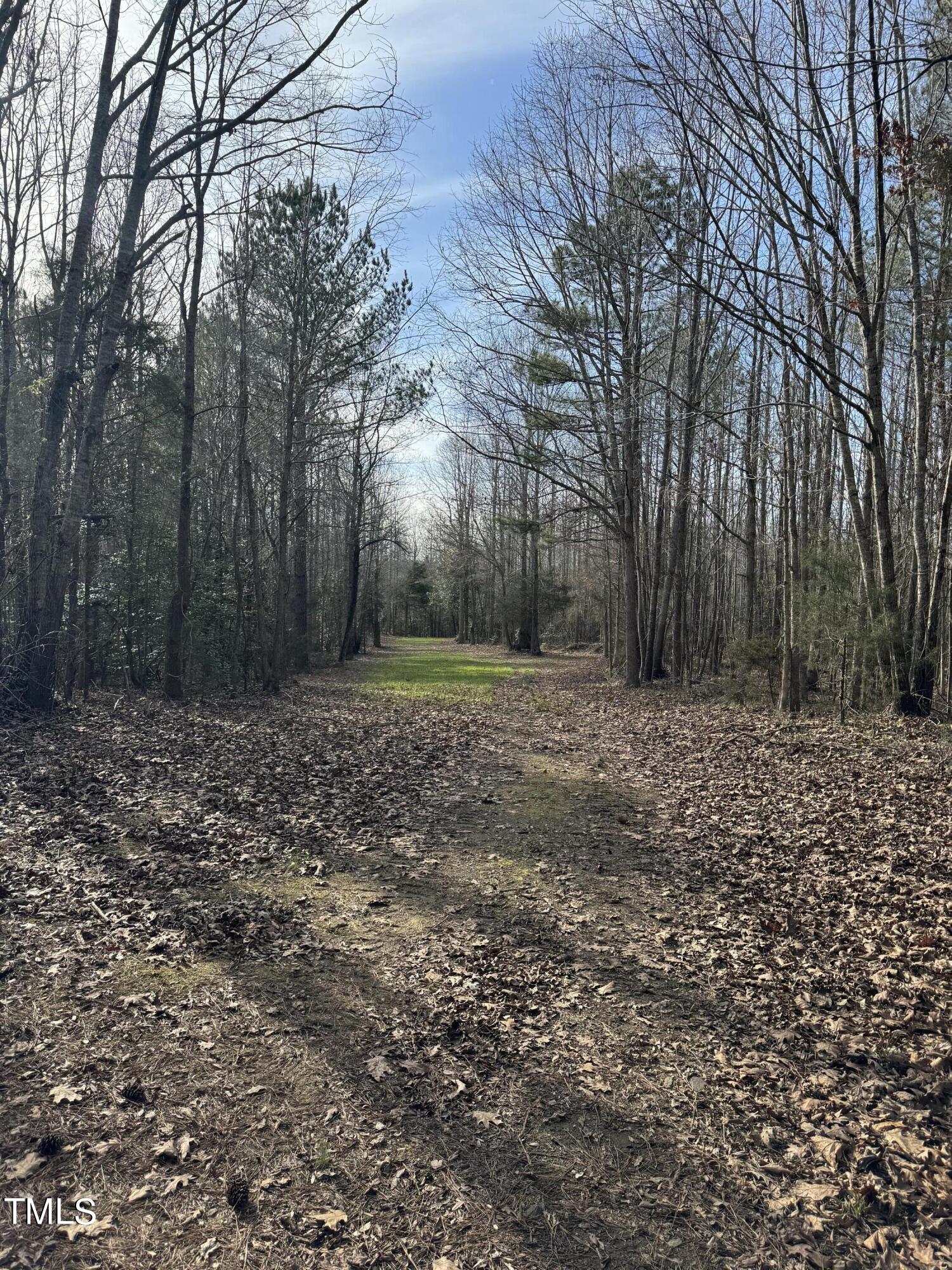 221 Kerr Lake Cole Bridge Road
