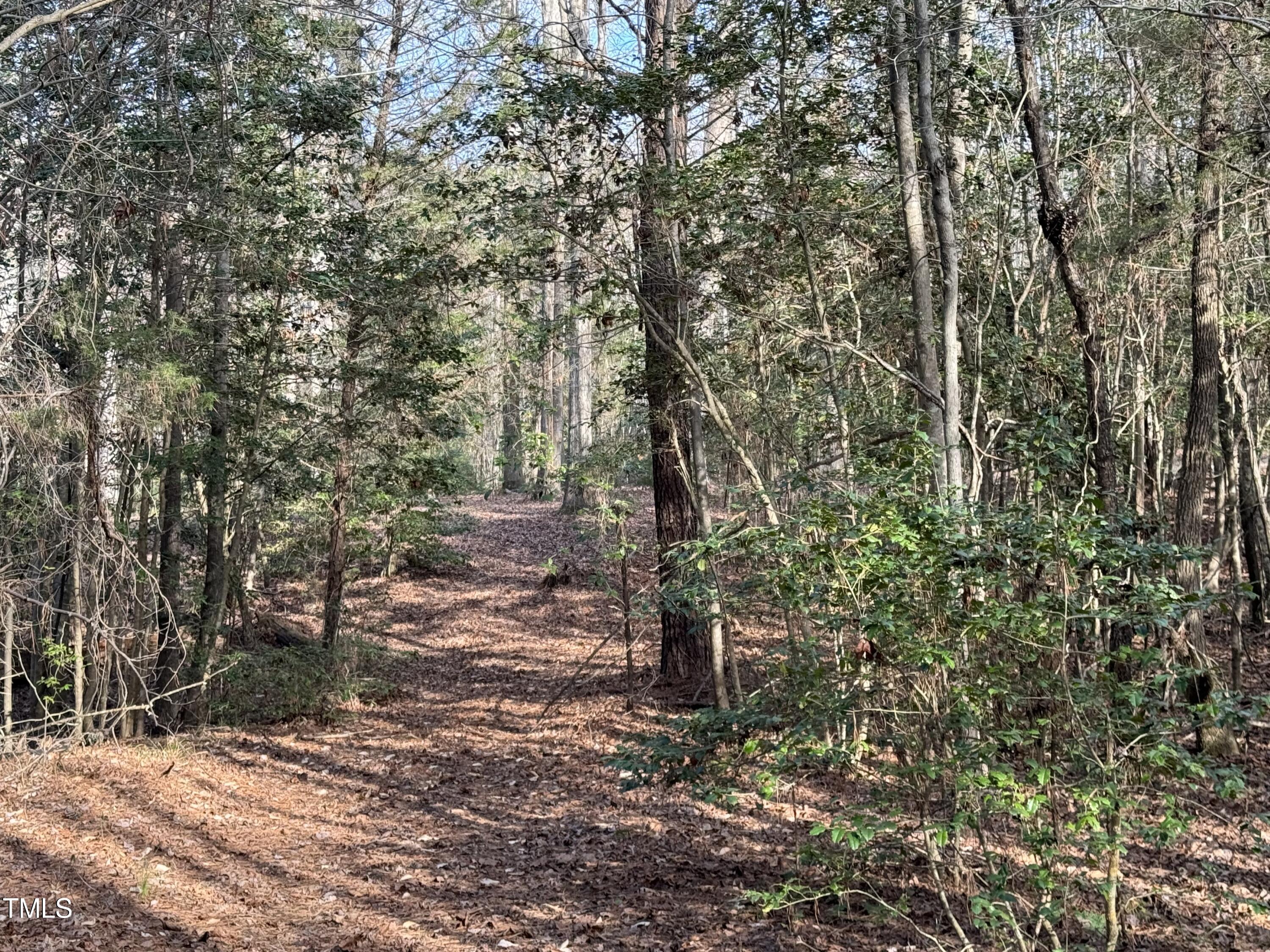 221 Kerr Lake Cole Bridge Road