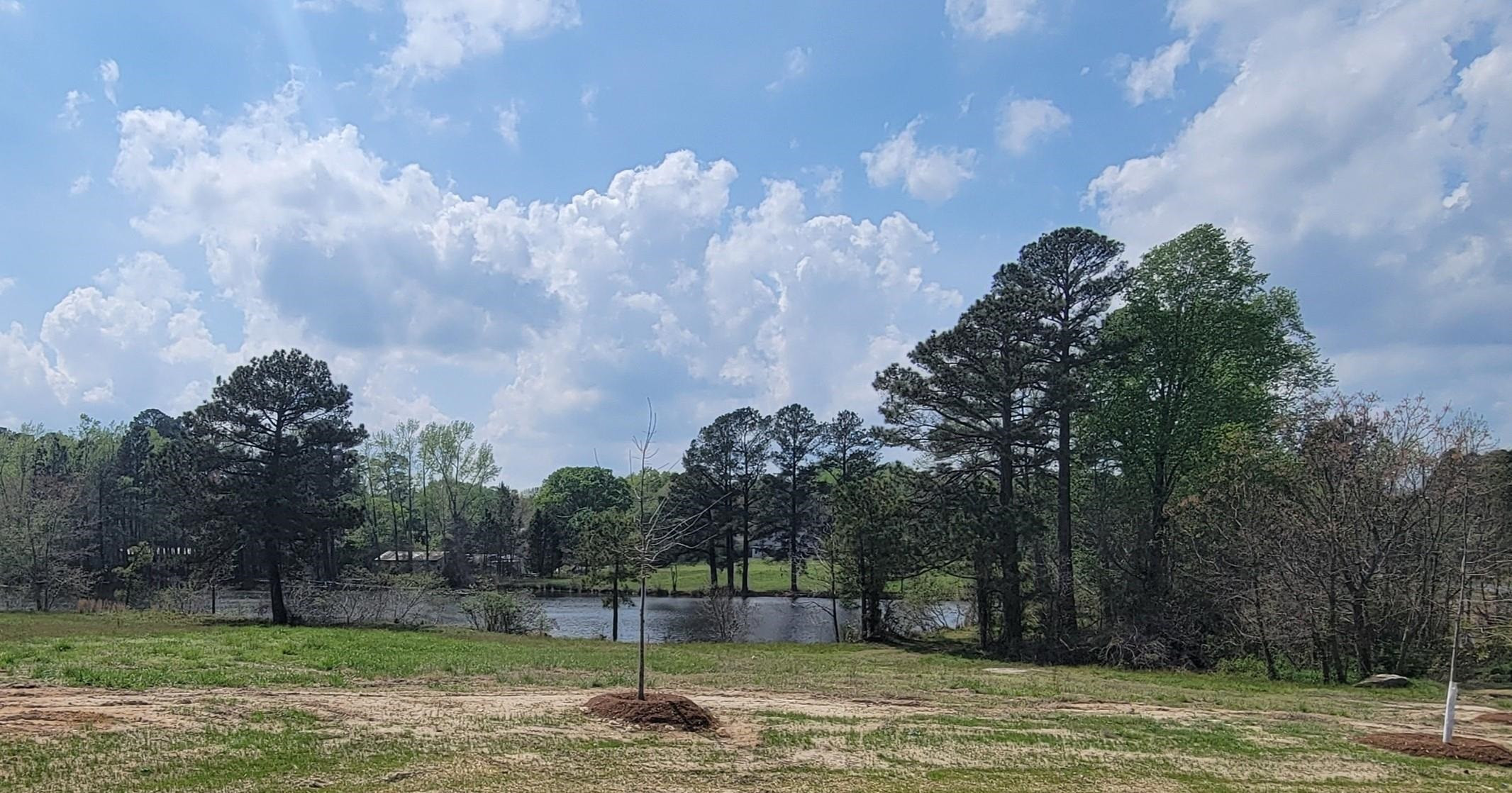 110 Weathered Oak Way