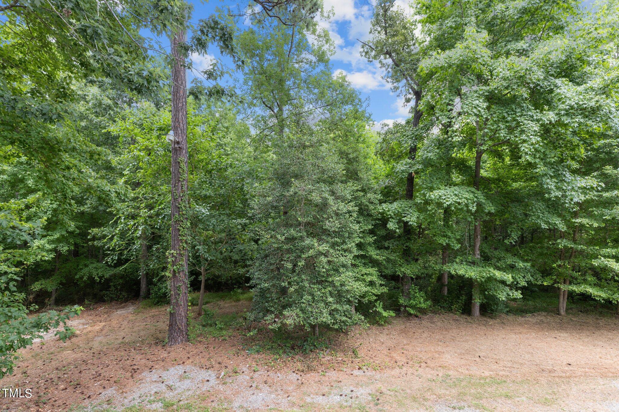 2973 Tram Road