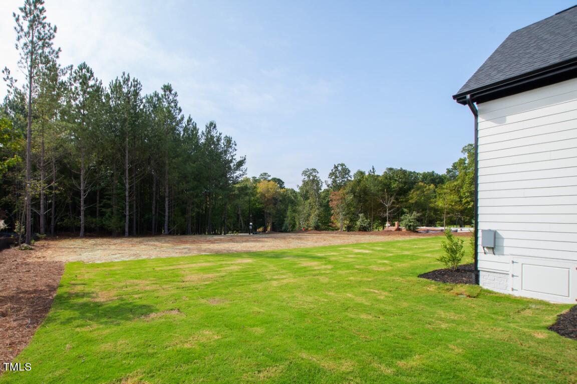 20 Chestnut Oak Drive