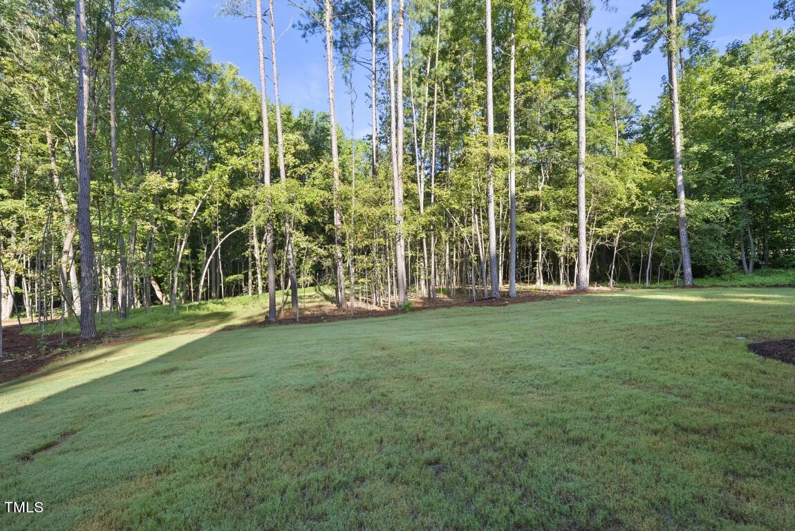 13541 Old Creedmoor Road