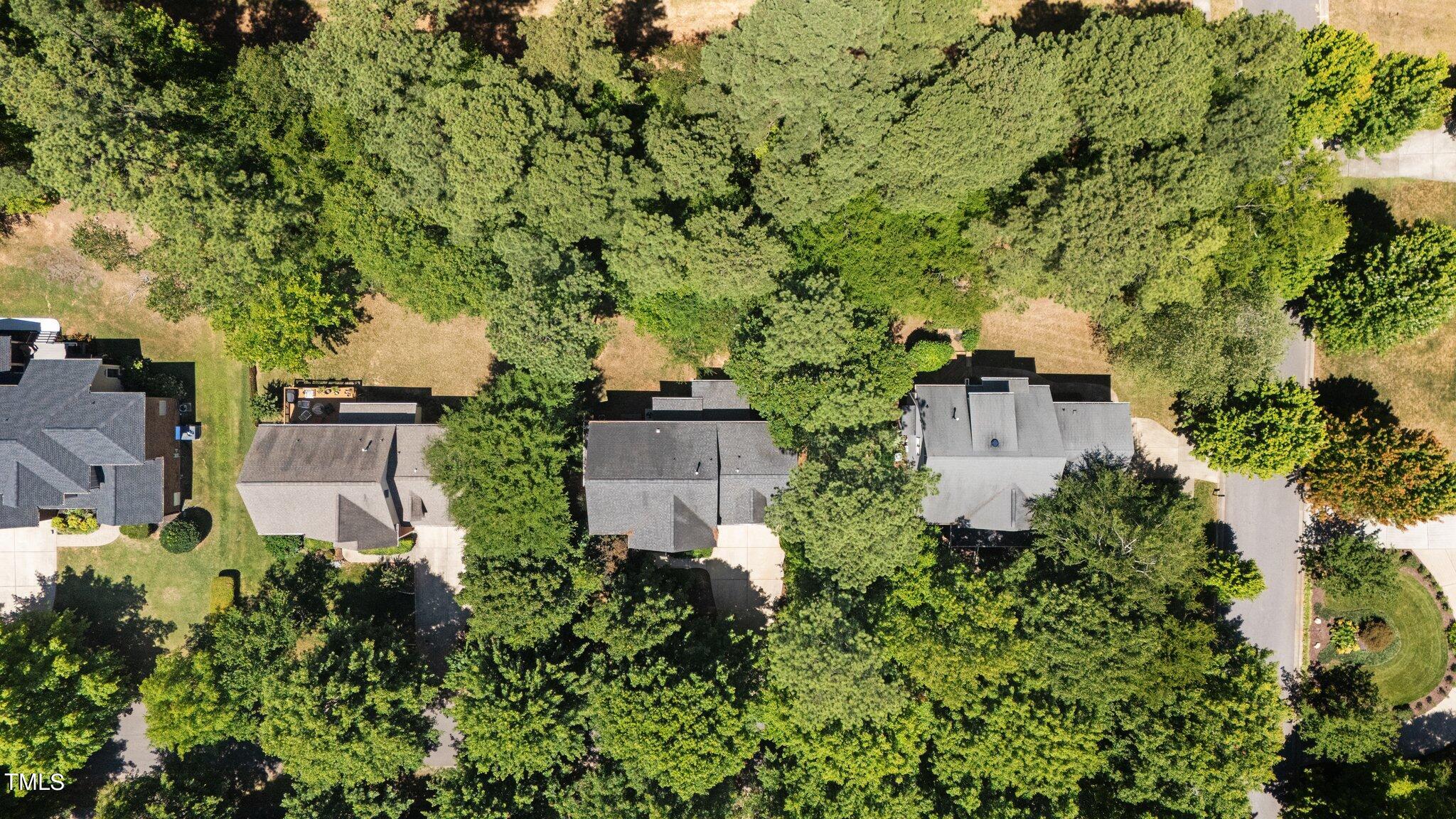 104 Branchside Lane