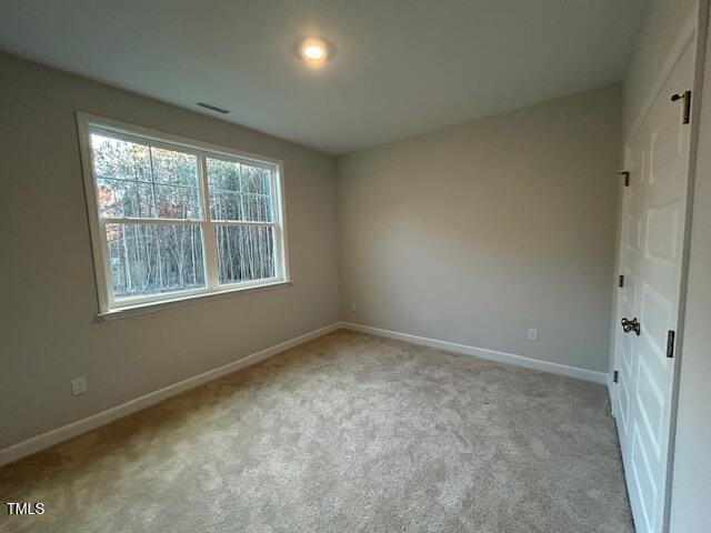 135 Bold Drive