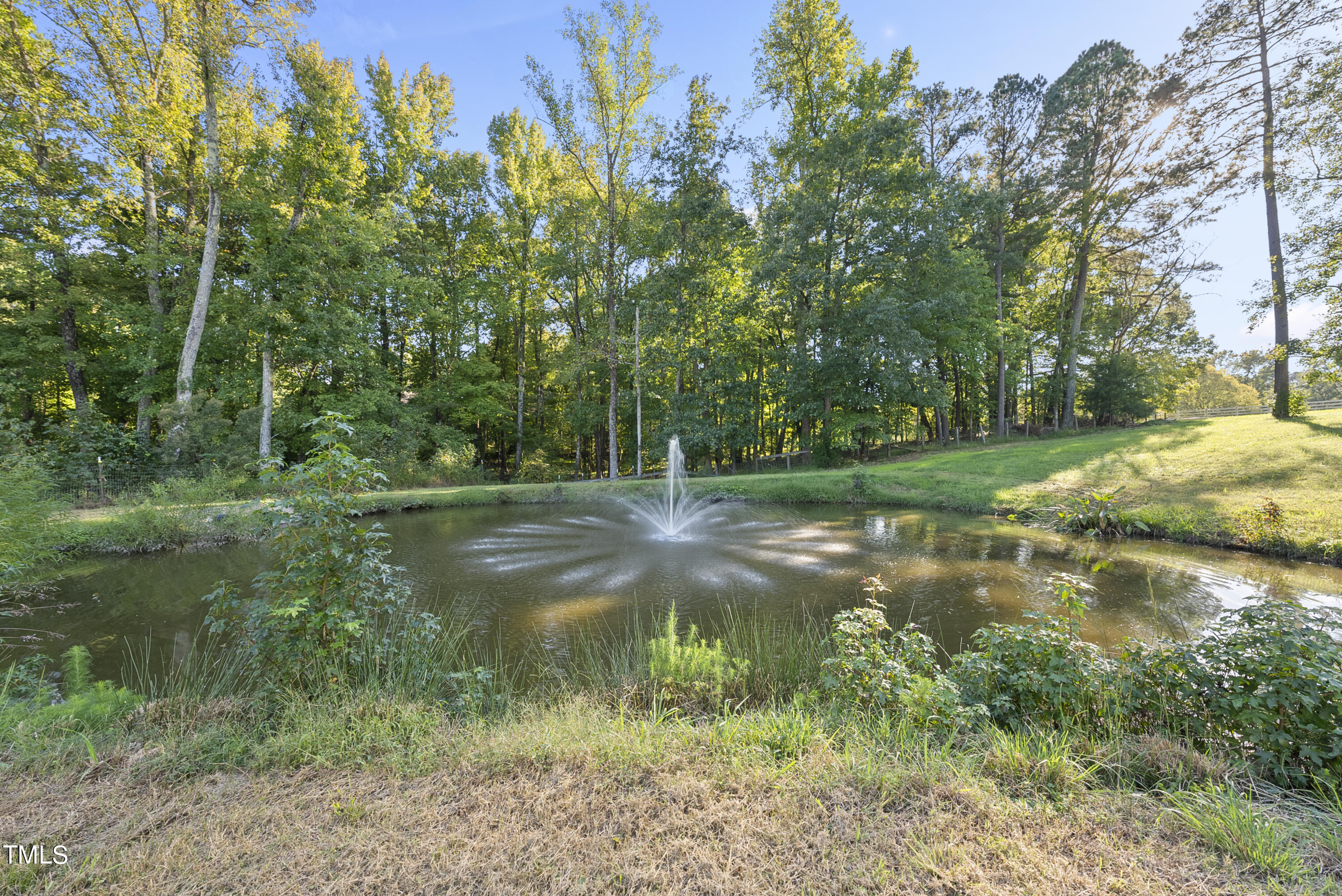 156 Markham Plantation