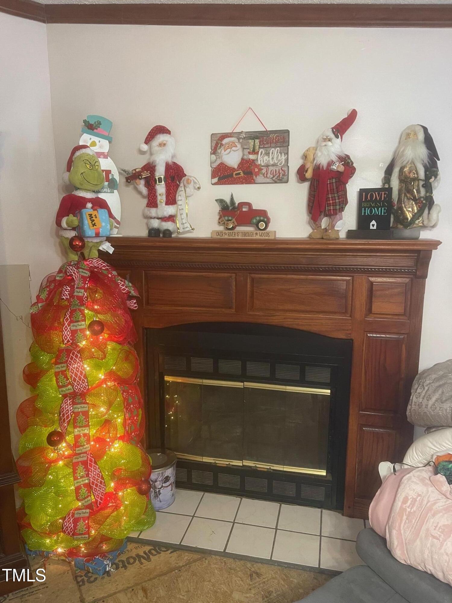 118 W Silver Belle Drive